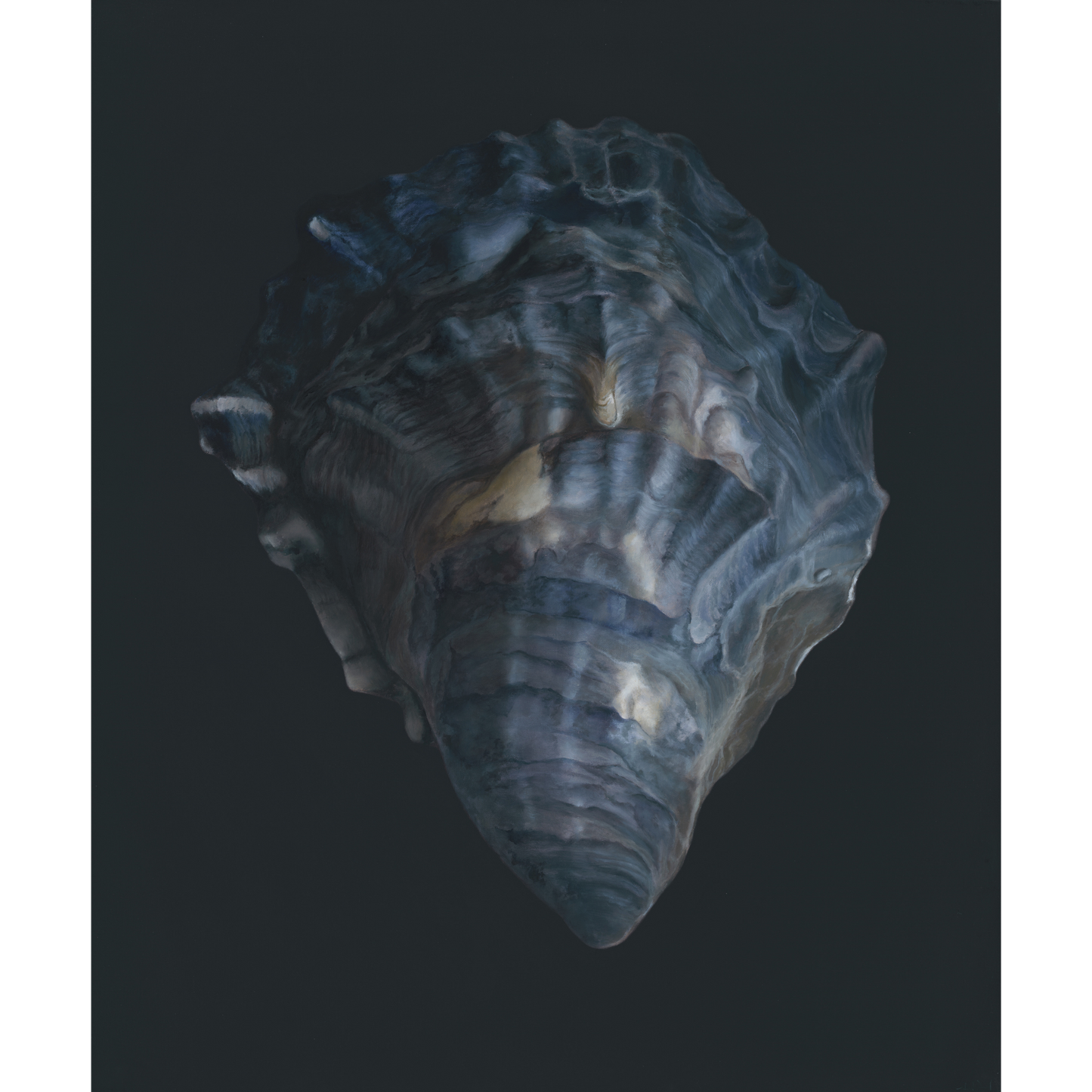 'Oyster Shell No. 4' Limited Edition Print