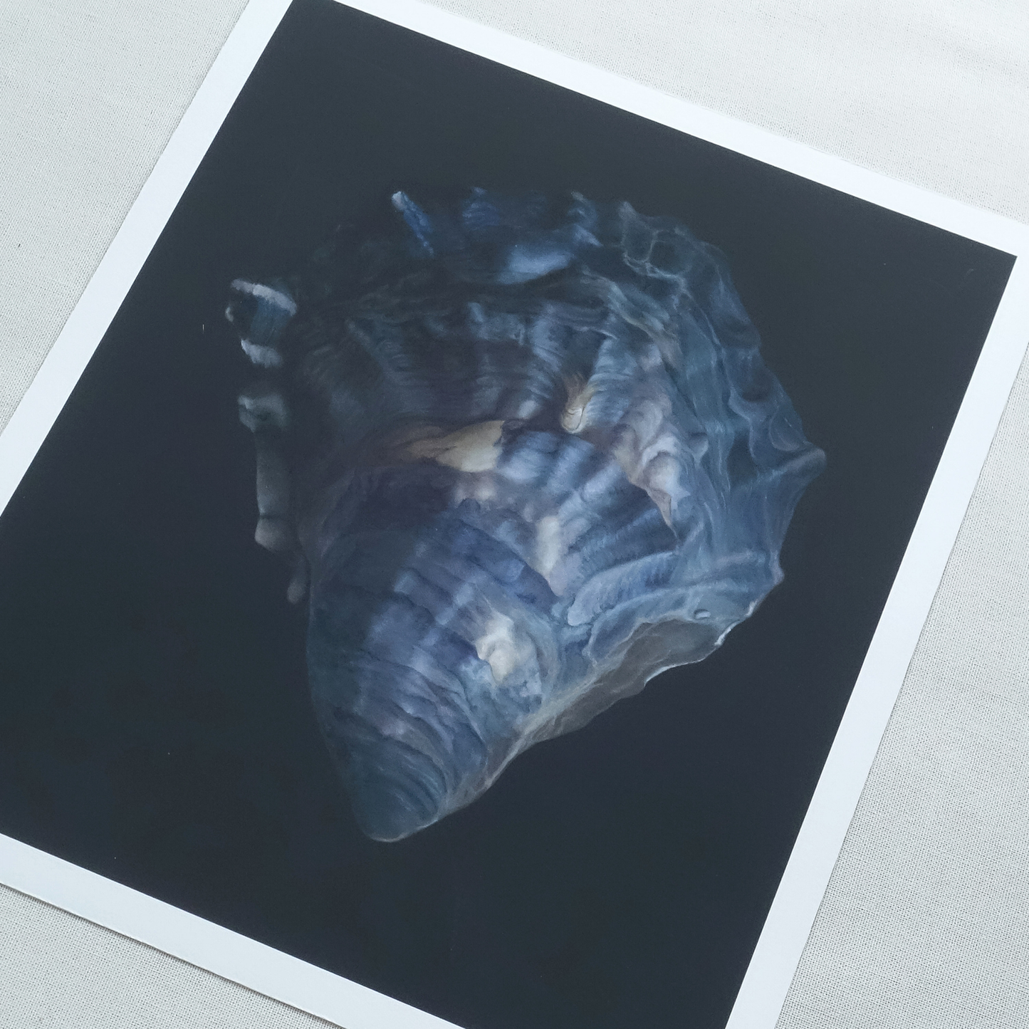 'Oyster Shell No. 4' Limited Edition Print