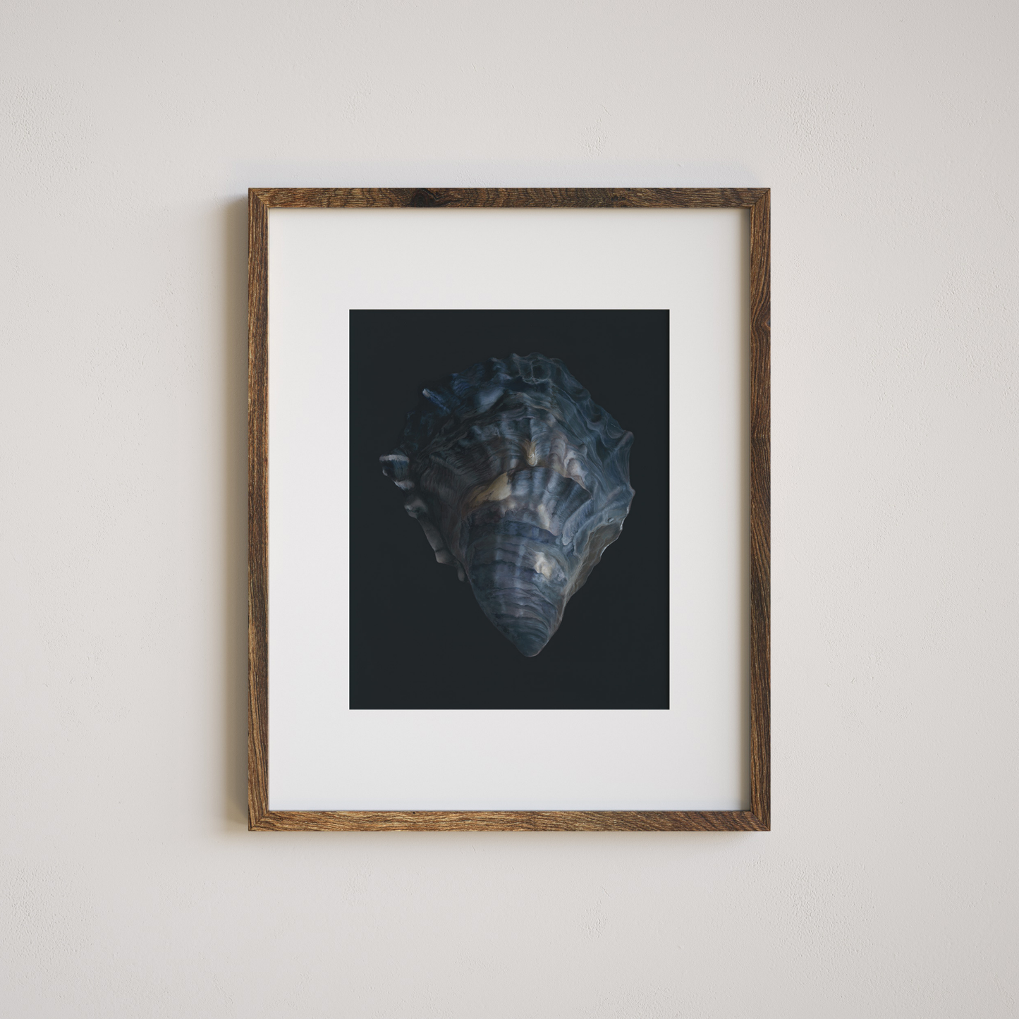 'Oyster Shell No. 4' Limited Edition Print