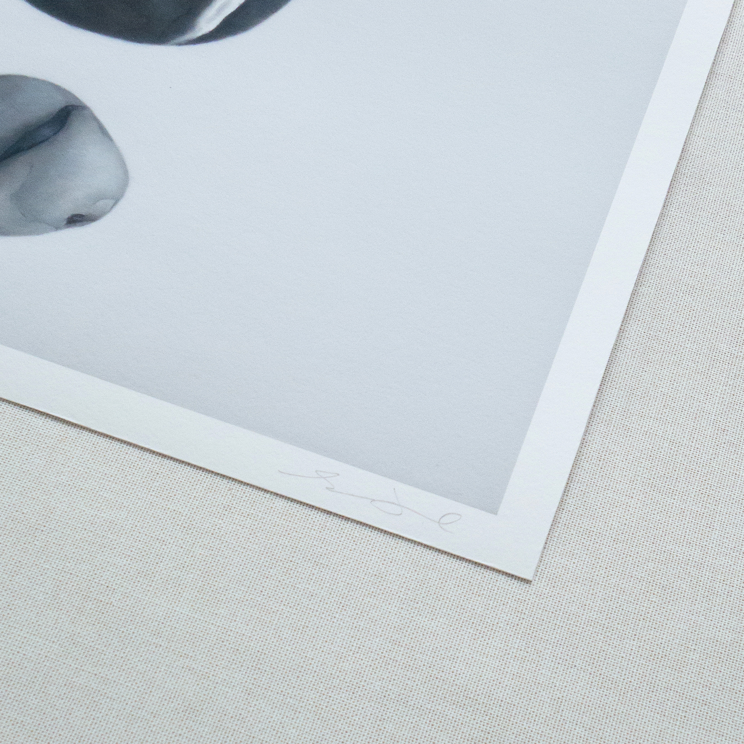 'Stone Duo' Limited Edition Print