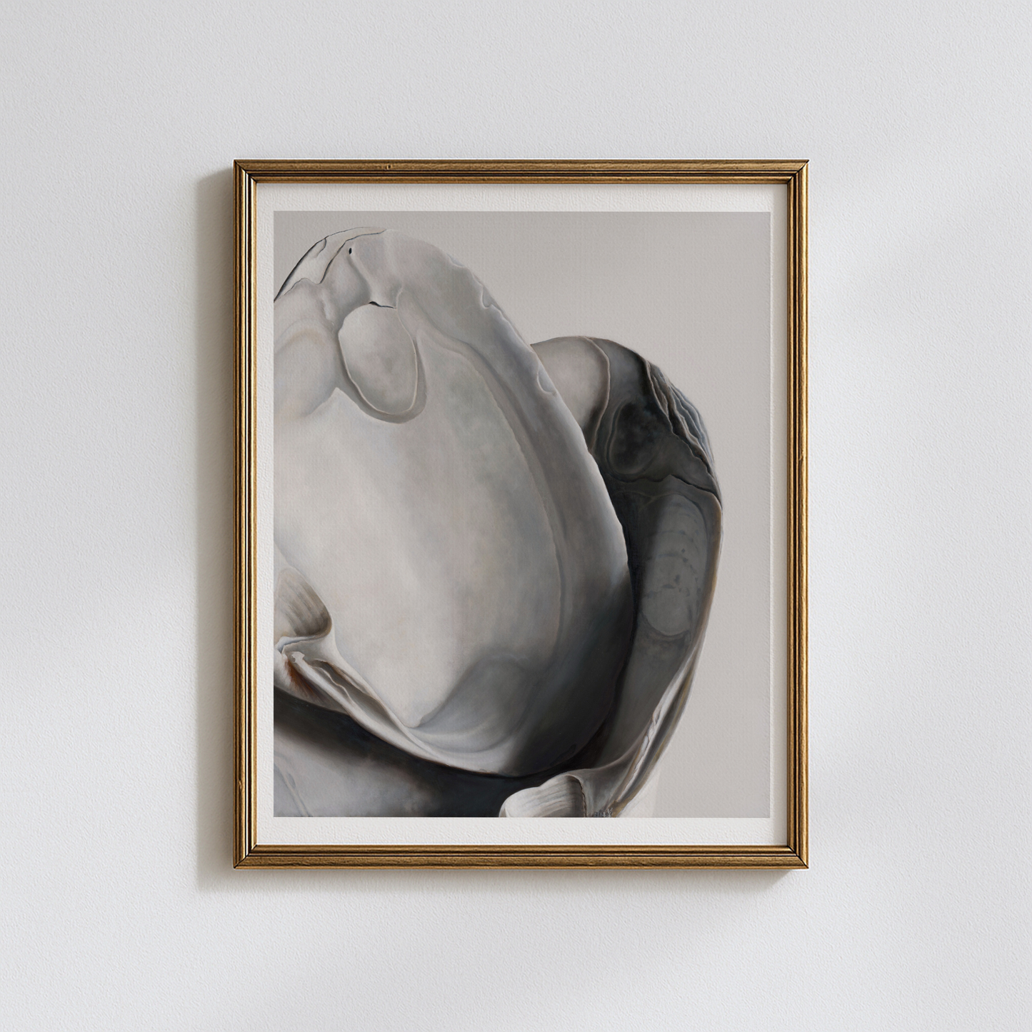 'Surf Clam Pair No. 1' Limited Edition Print