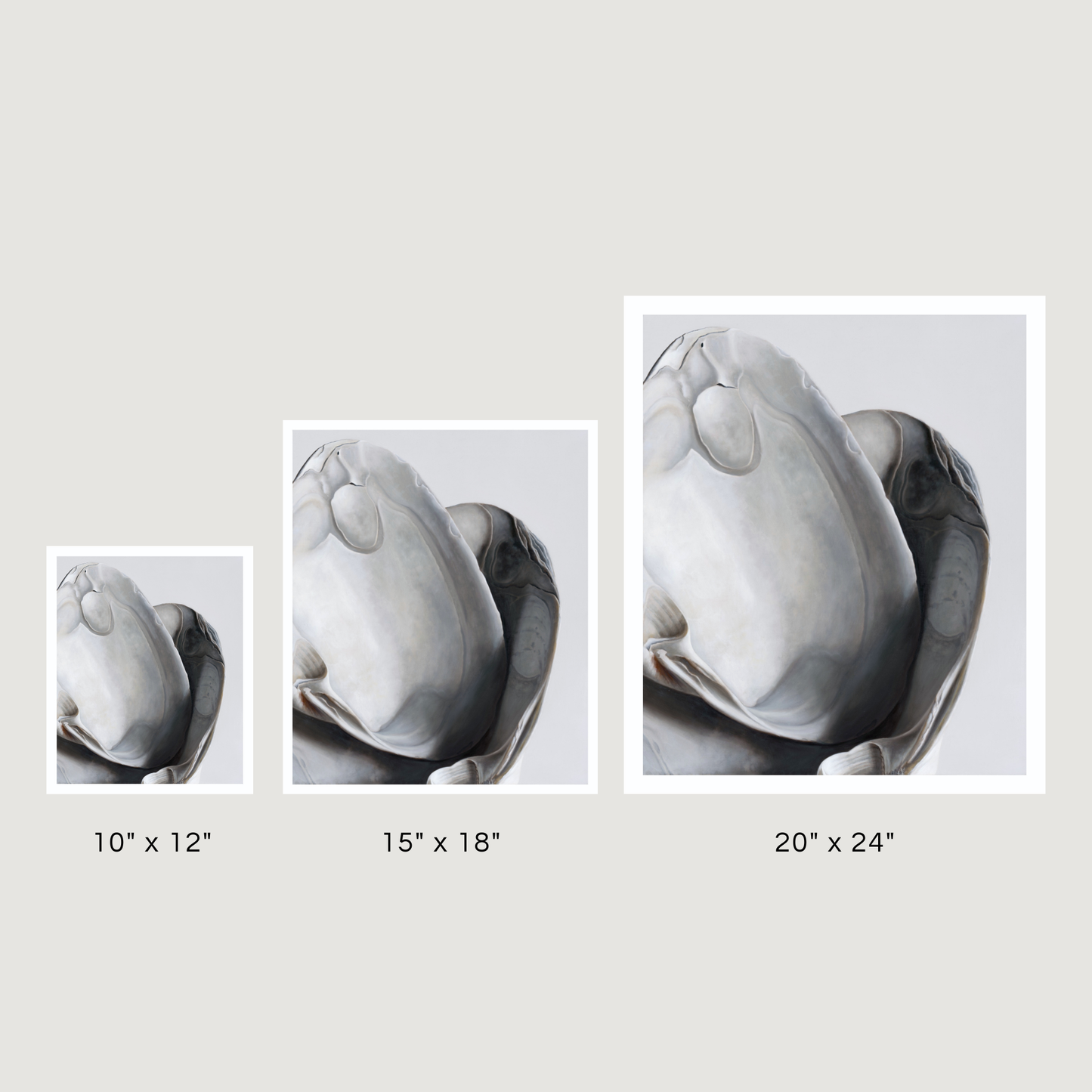 'Surf Clam Pair No. 1' Limited Edition Print