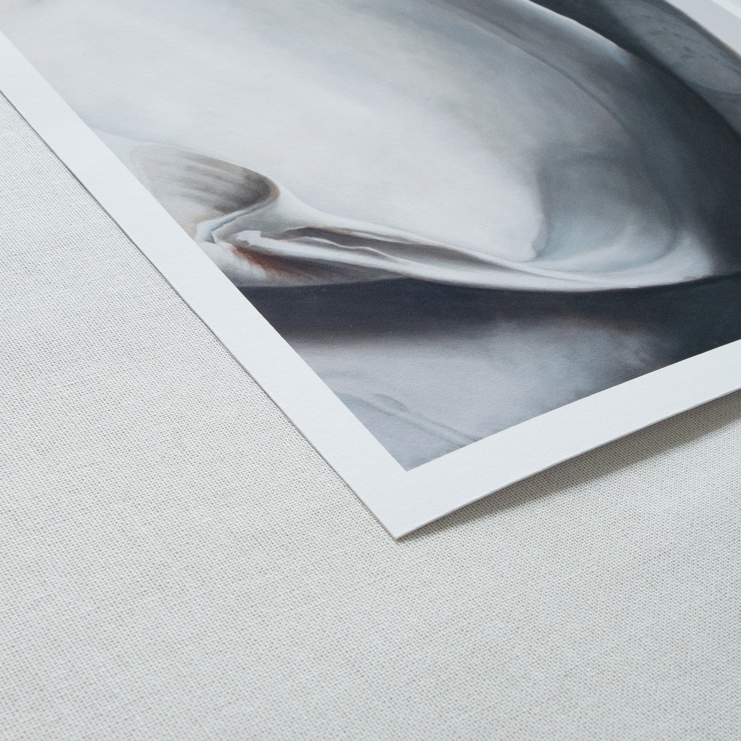 'Surf Clam Pair No. 1' Limited Edition Print