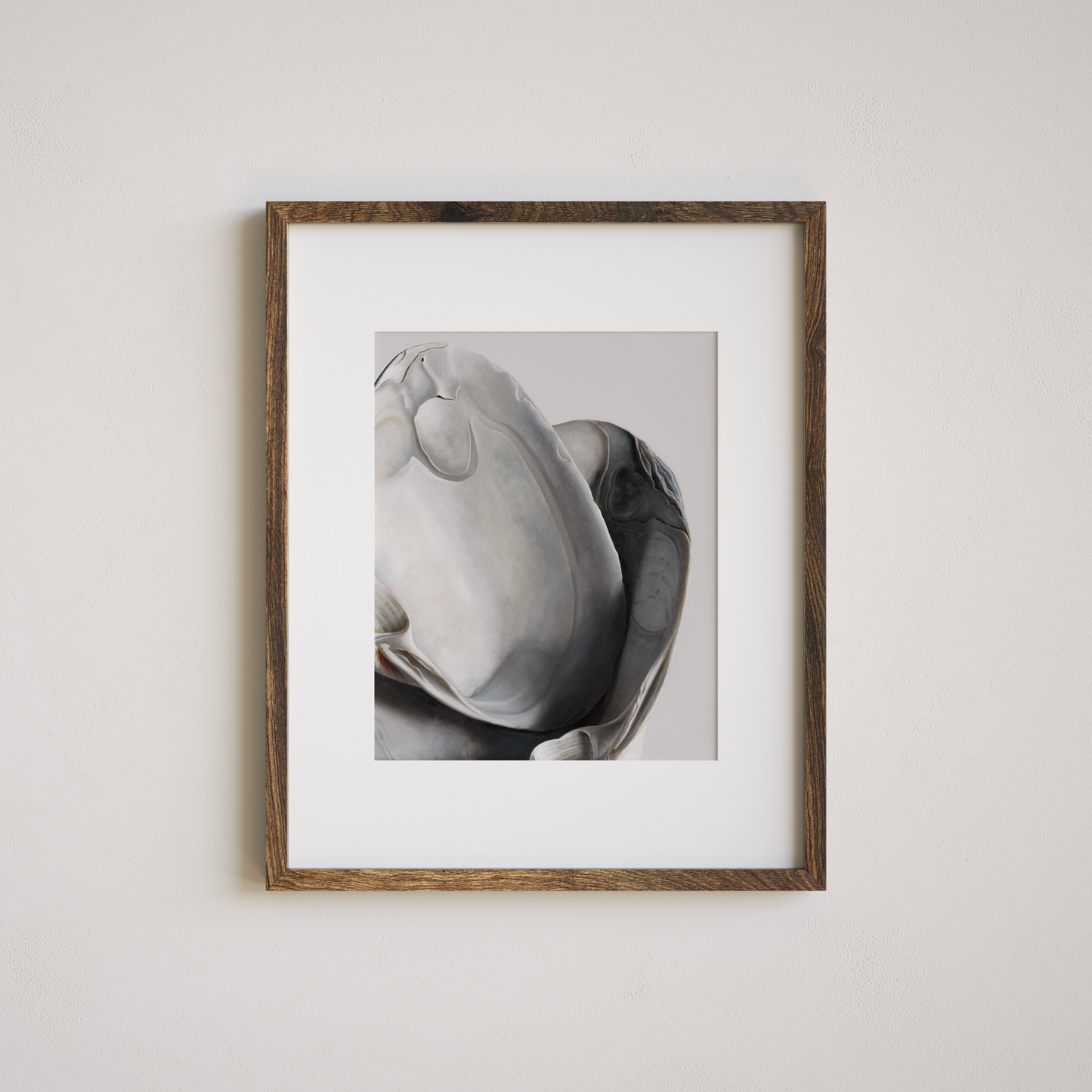 'Surf Clam Pair No. 1' Limited Edition Print