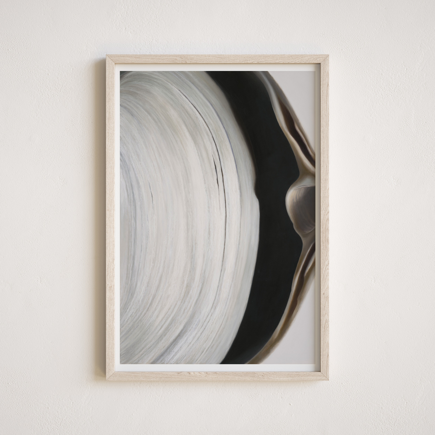 'Surf Clam Pair No. 2' Limited Edition Print