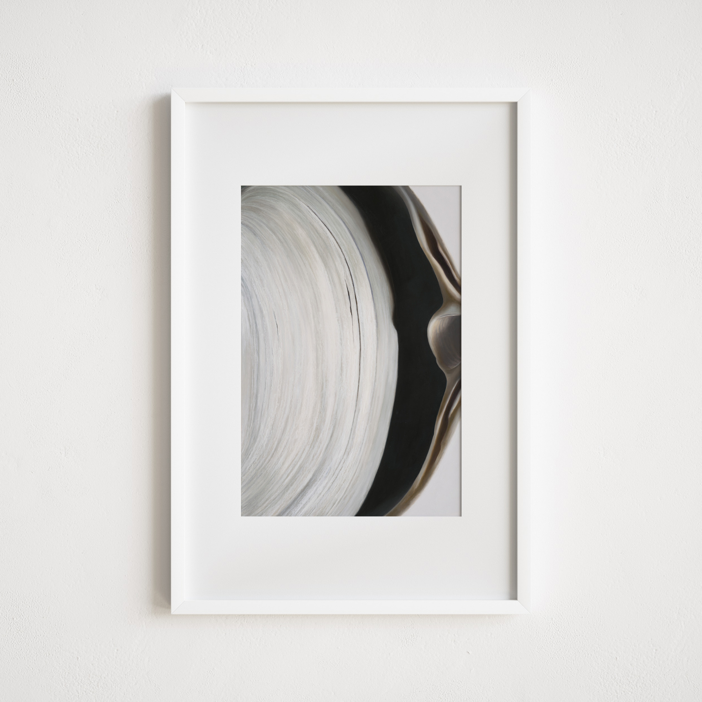 'Surf Clam Pair No. 2' Limited Edition Print