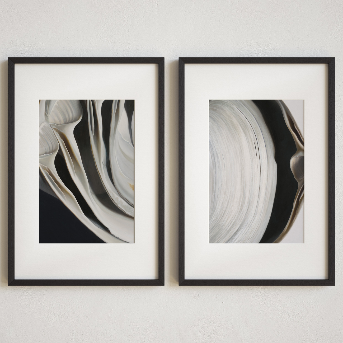 'Surf Clam Pair No. 2' Limited Edition Print