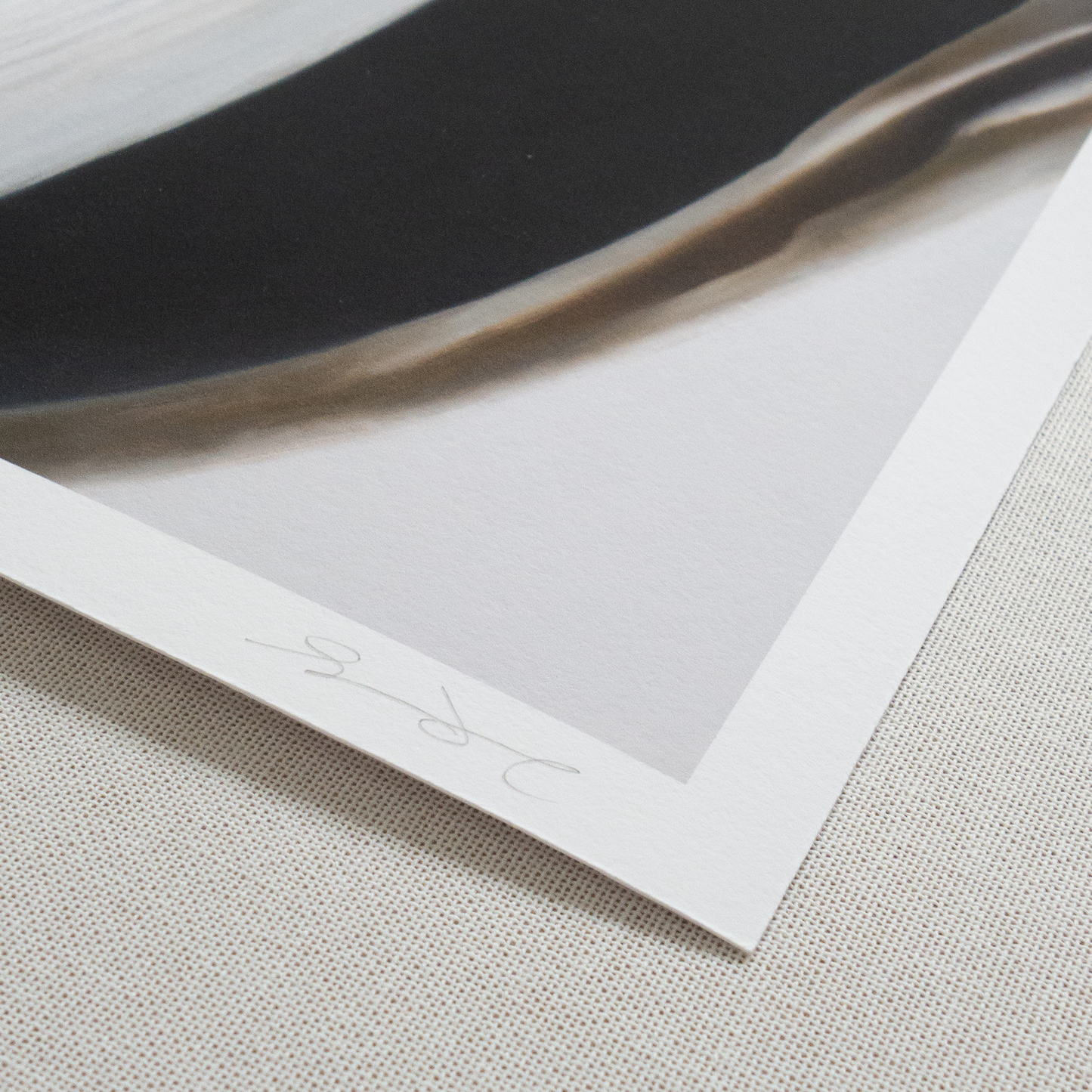 'Surf Clam Pair No. 2' Limited Edition Print