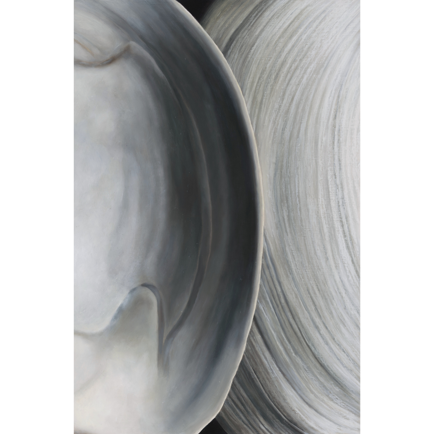'Surf Clam Pair No. 3' Limited Edition Print
