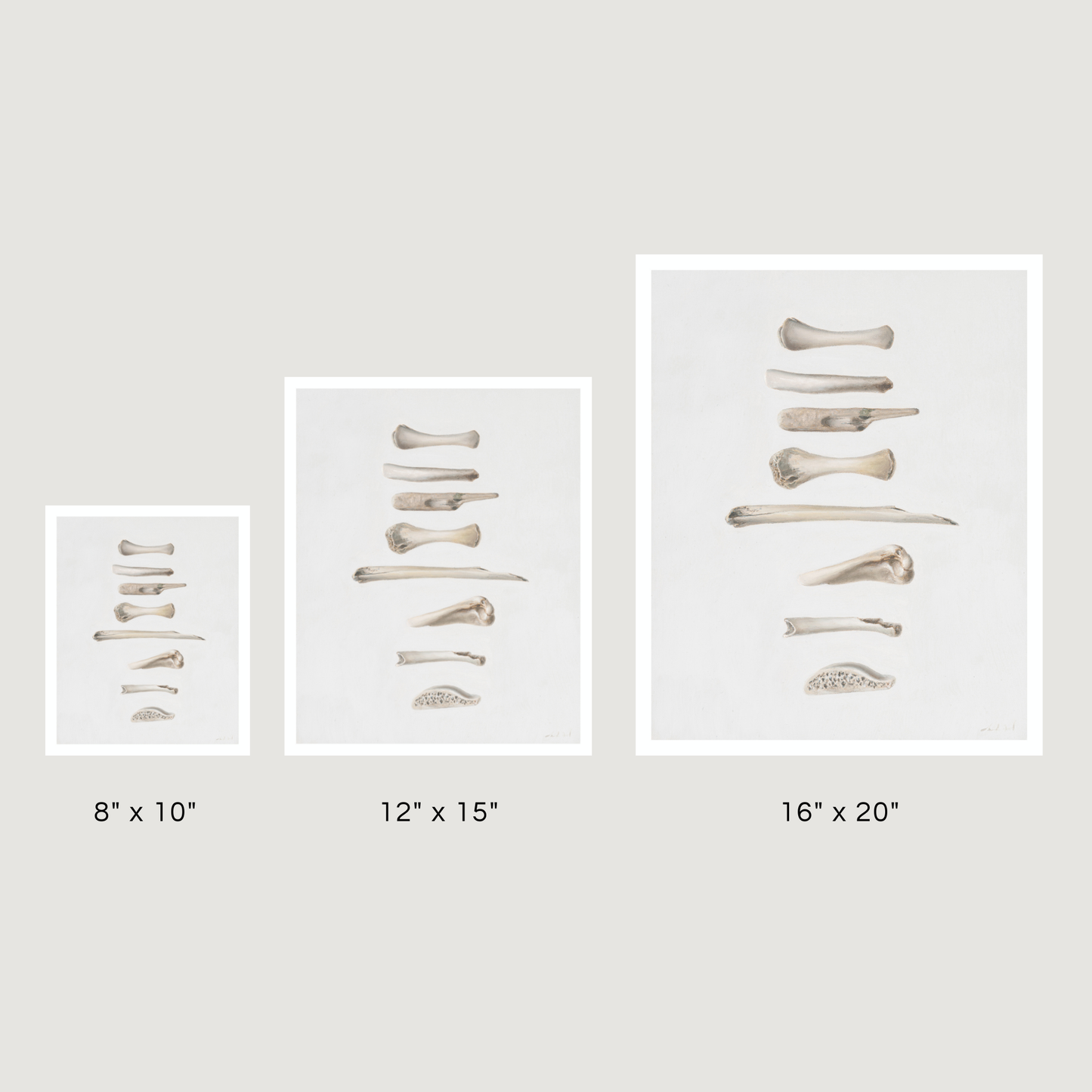 'Bones No. 1' Limited Edition Print