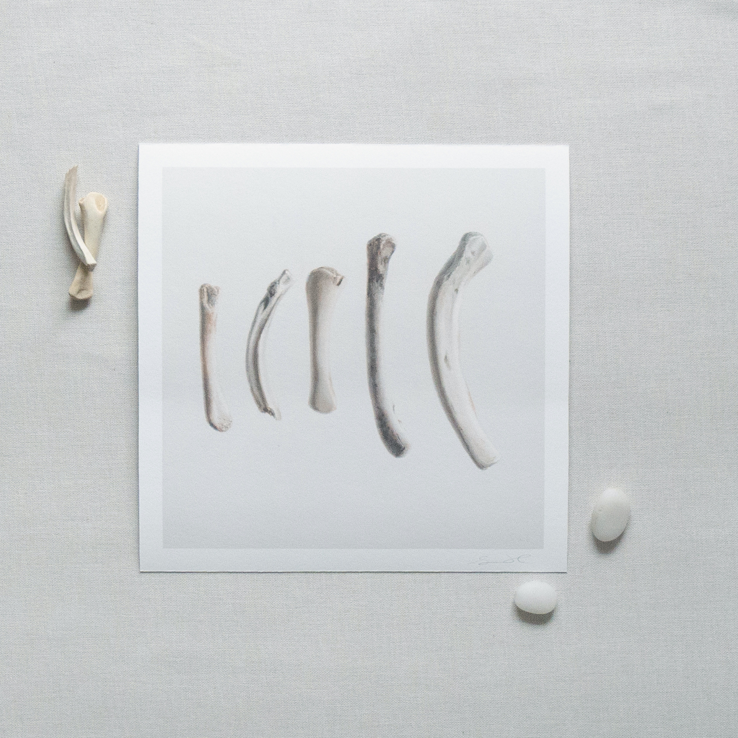 'Bones No. 3' Limited Edition Print