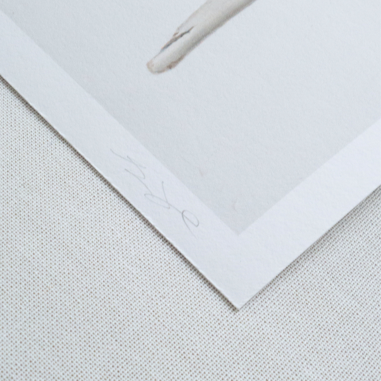 'Bones No. 4' Limited Edition Print