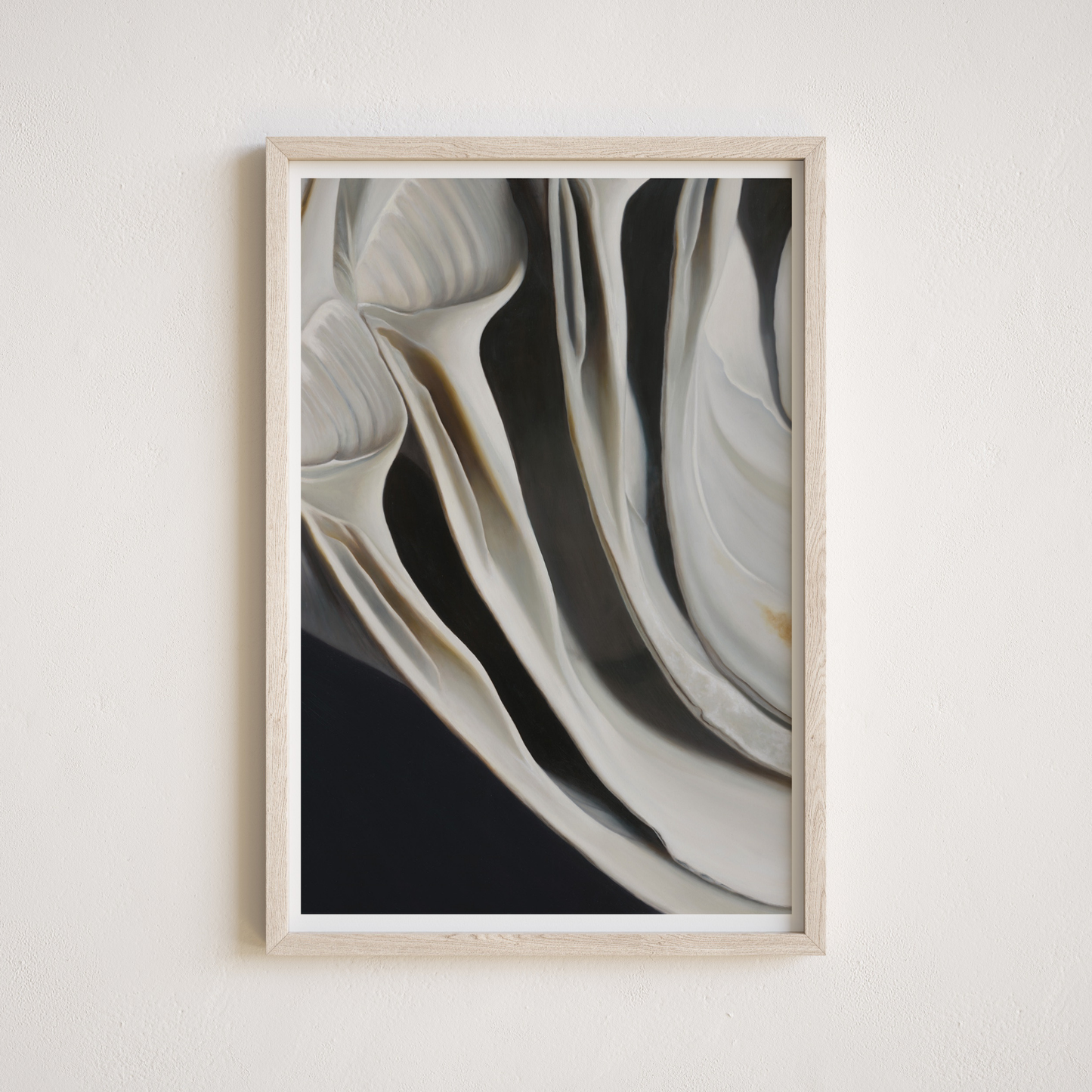 'Nested Surf Clams No. 7' Limited Edition Print