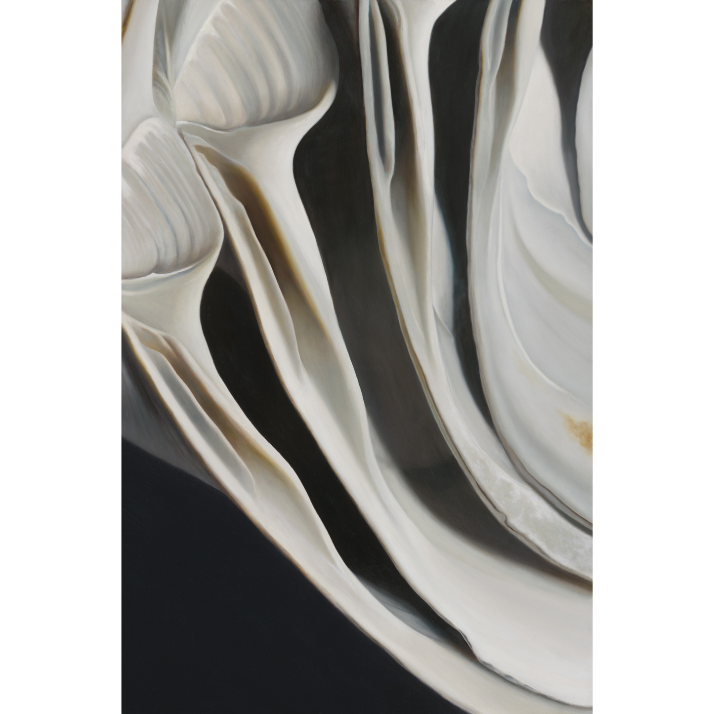 'Nested Surf Clams No. 7' Limited Edition Print