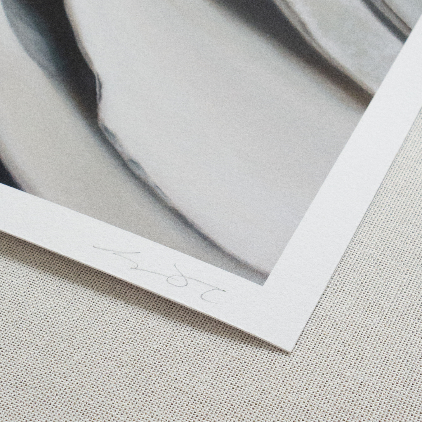 'Nested Surf Clams No. 7' Limited Edition Print