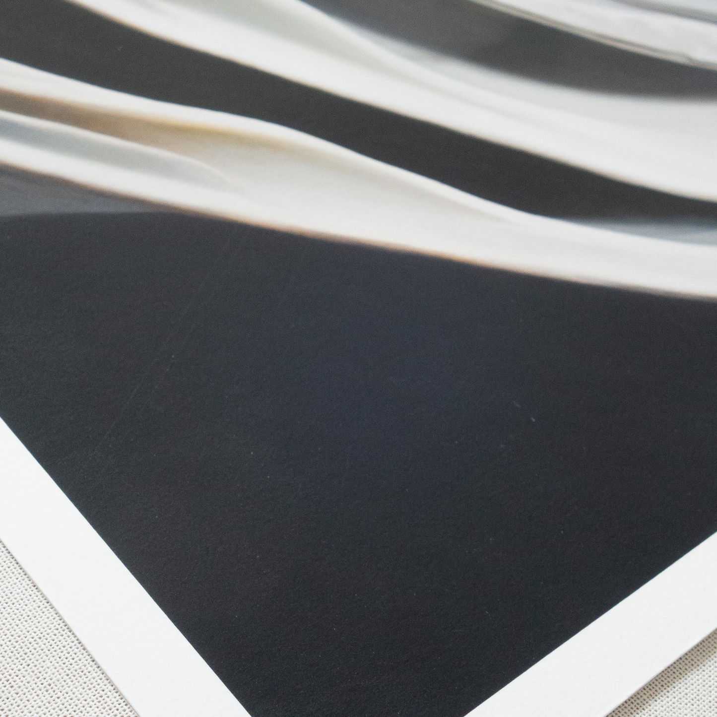 'Nested Surf Clams No. 7' Limited Edition Print