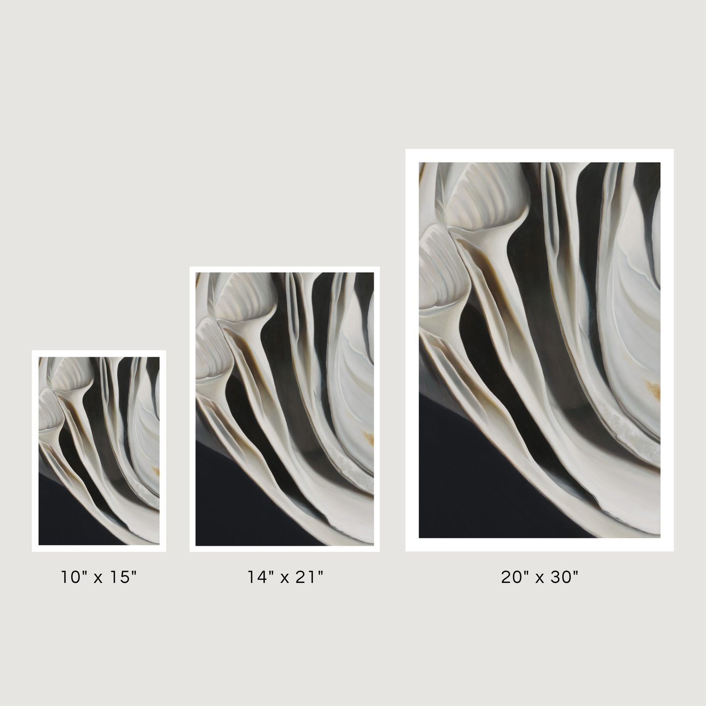 'Nested Surf Clams No. 7' Limited Edition Print