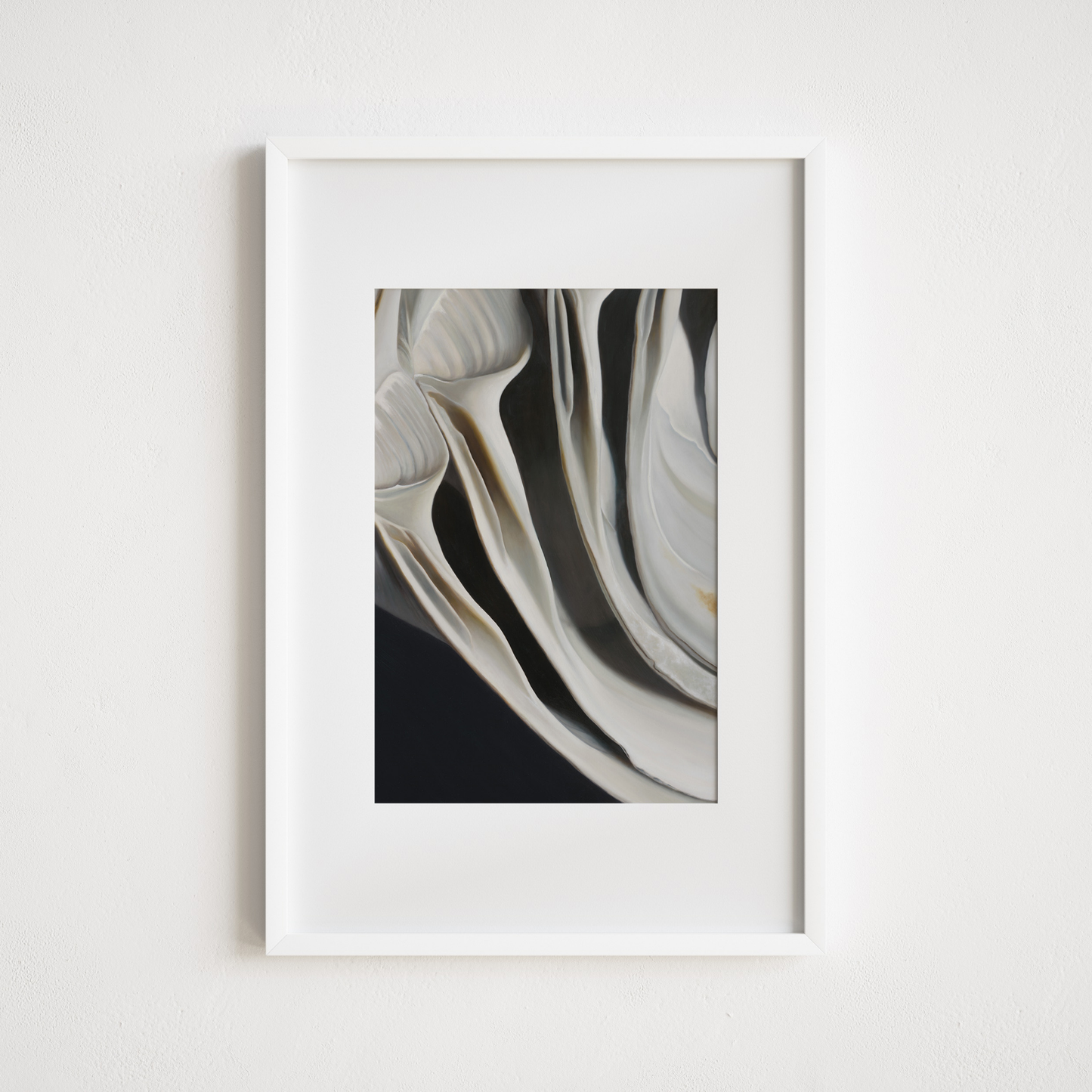 'Nested Surf Clams No. 7' Limited Edition Print