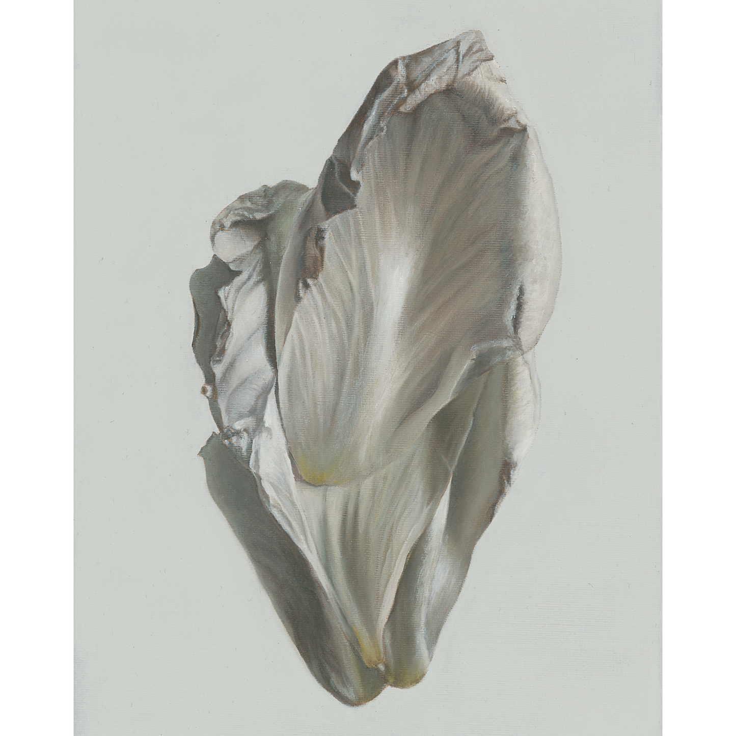 Load image into Gallery viewer, &amp;#39;Peony Petals No. 8&amp;#39;
