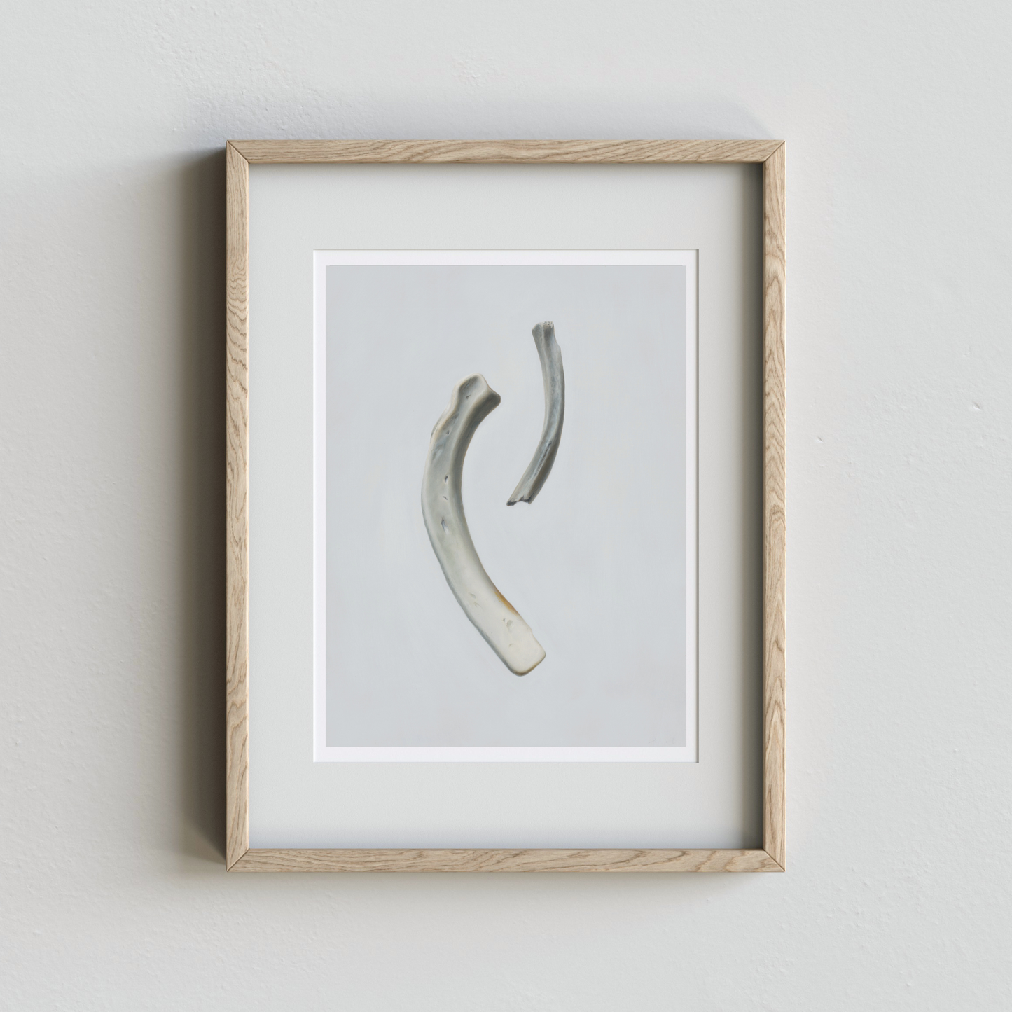Surf Clams, Driftwood & Bones Set of Four