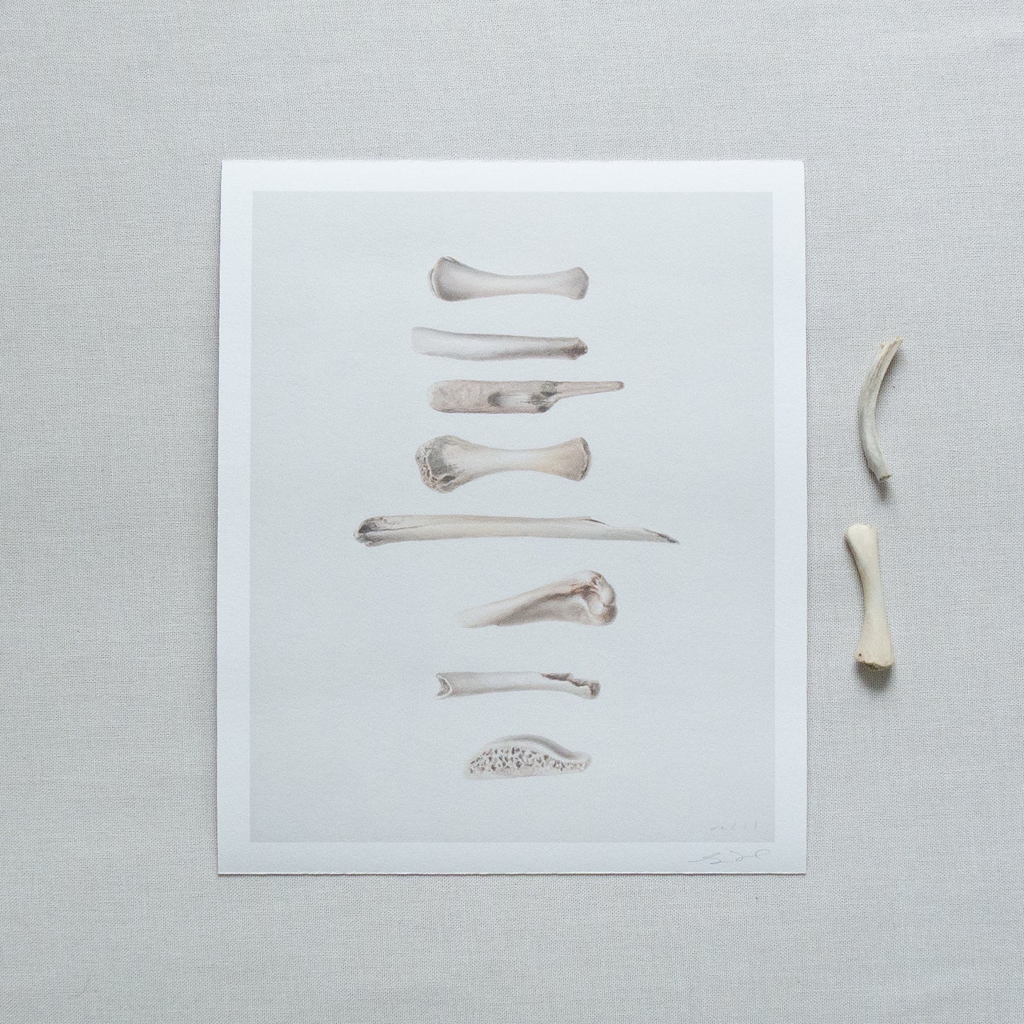 Bones No. 1 | Bones No. 2 Diptych