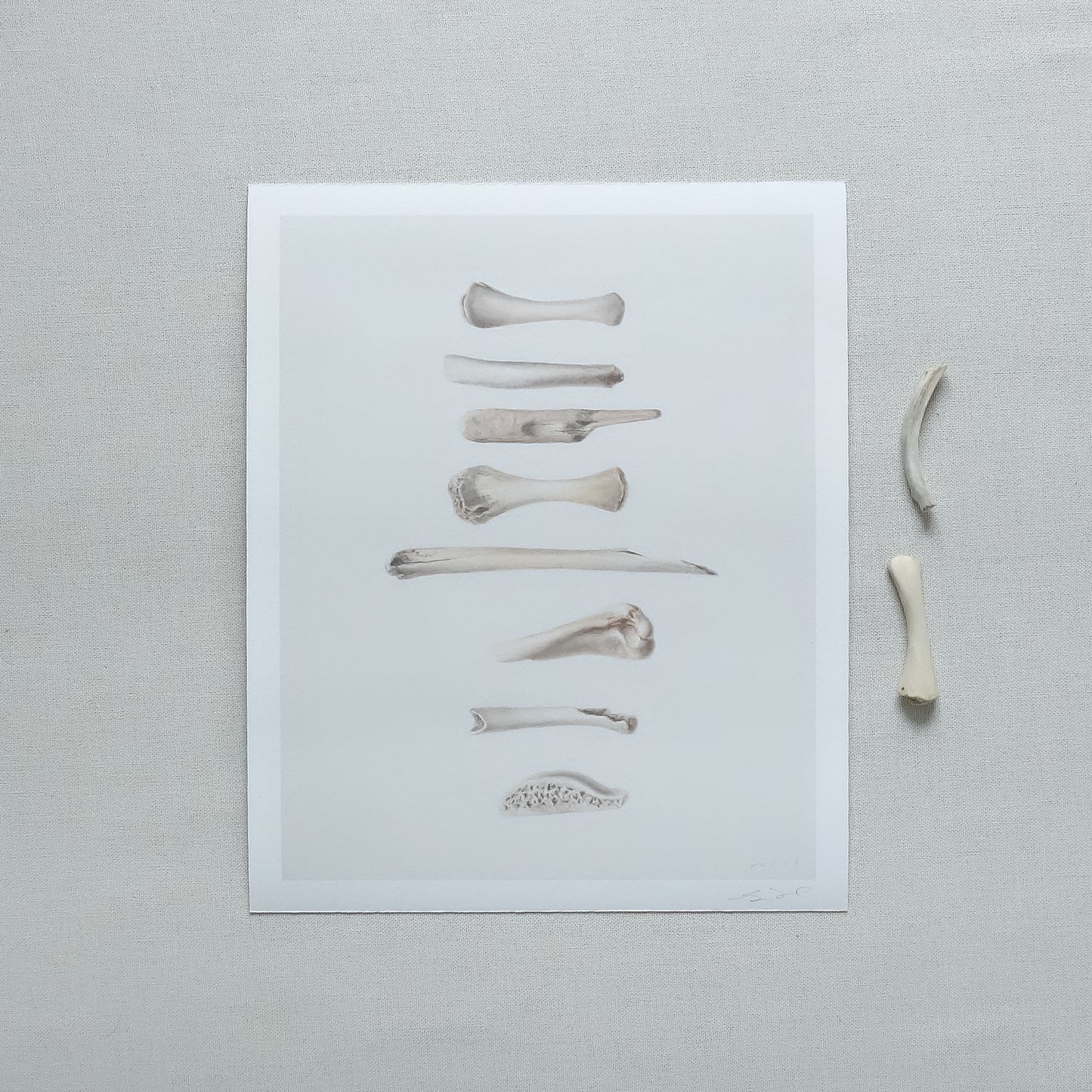 Set of Four Bones