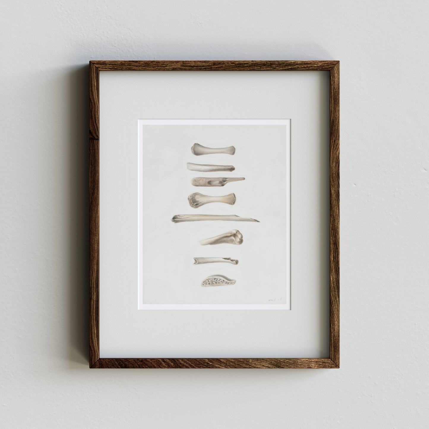 'Bones No. 1' Limited Edition Print