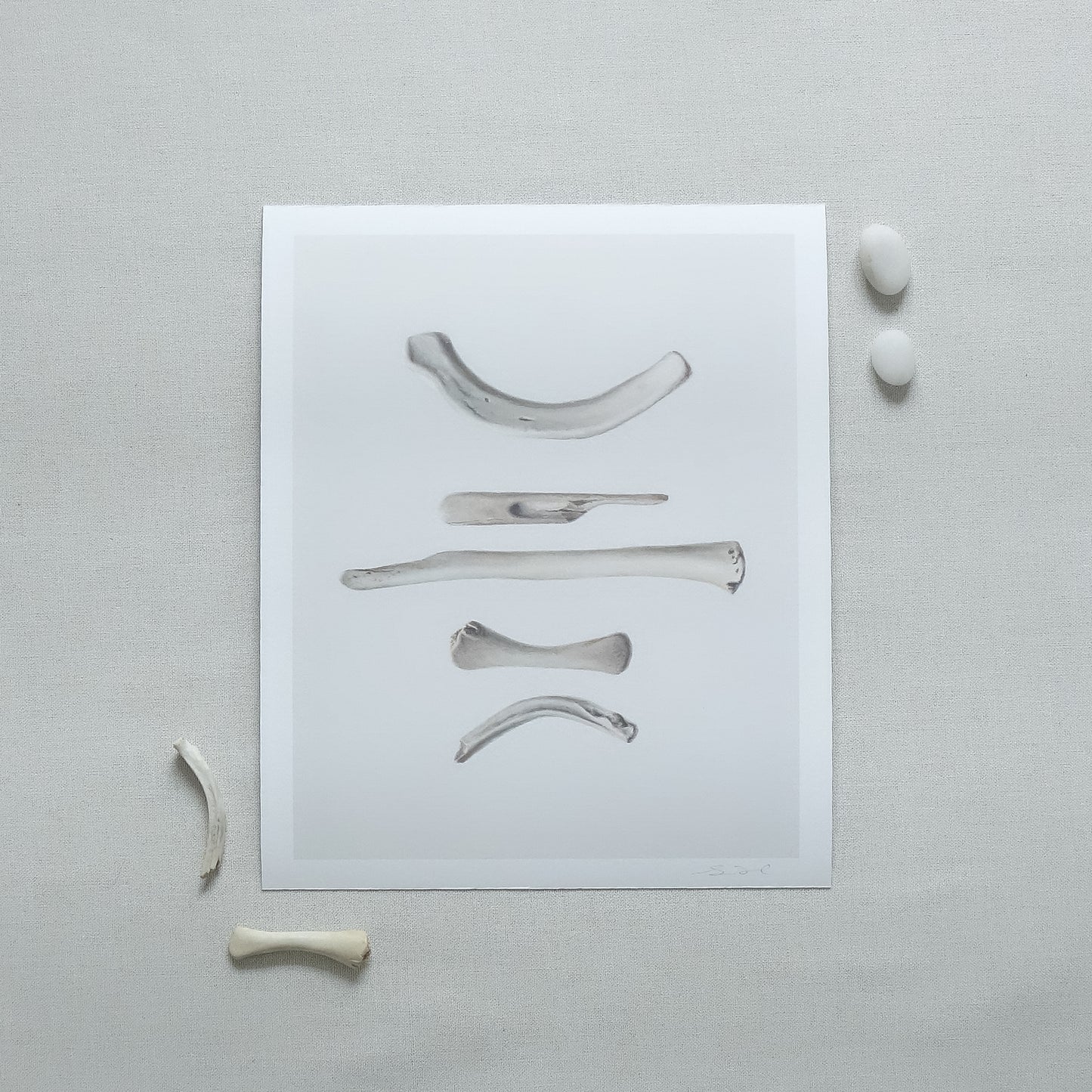 Bones No. 1 | Bones No. 2 Diptych