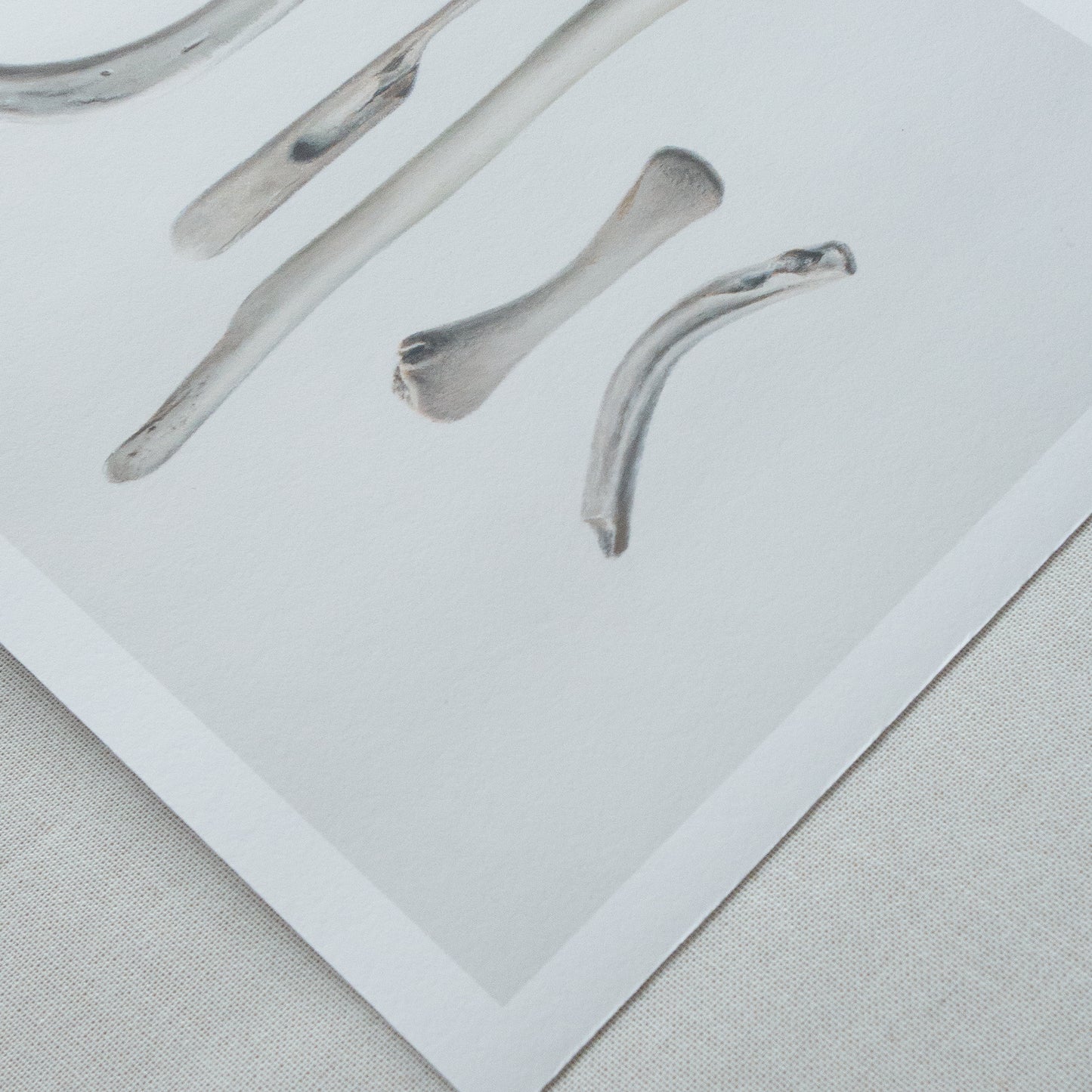 Bones No. 1 | Bones No. 2 Diptych