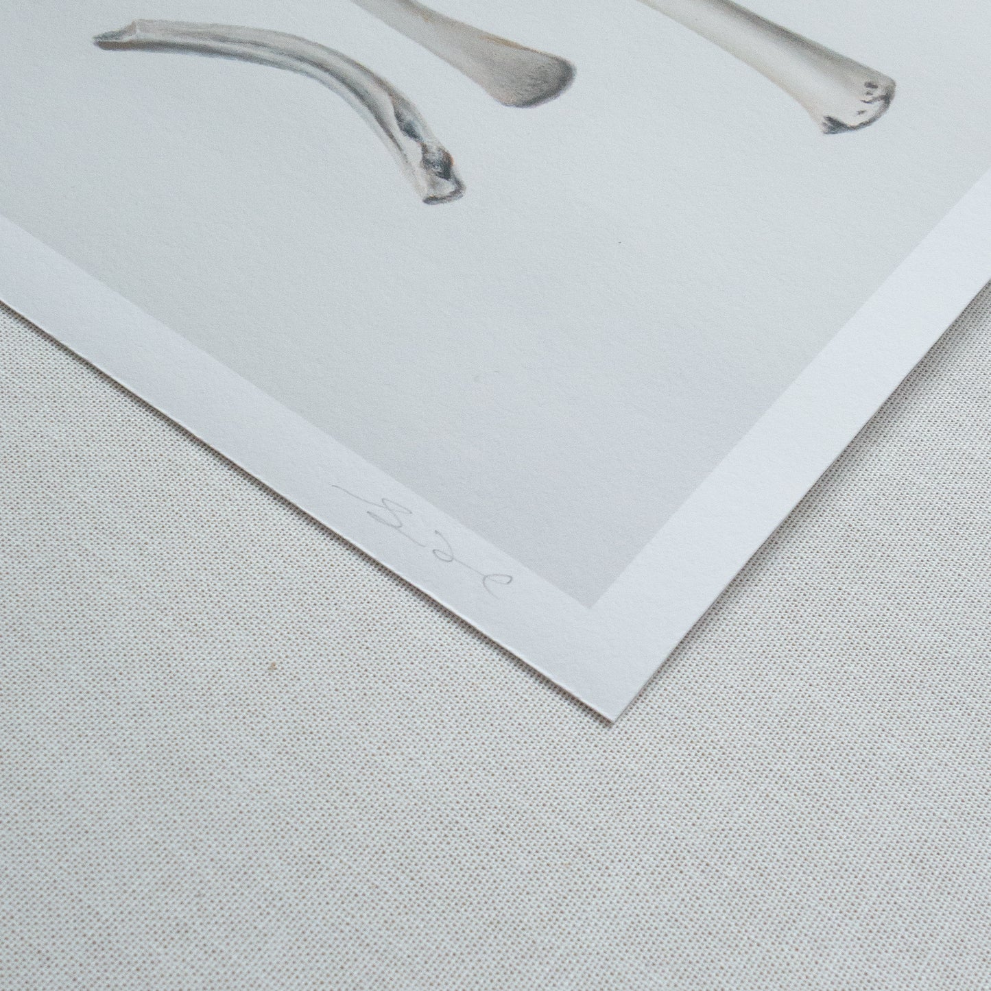 Bones No. 1 | Bones No. 2 Diptych