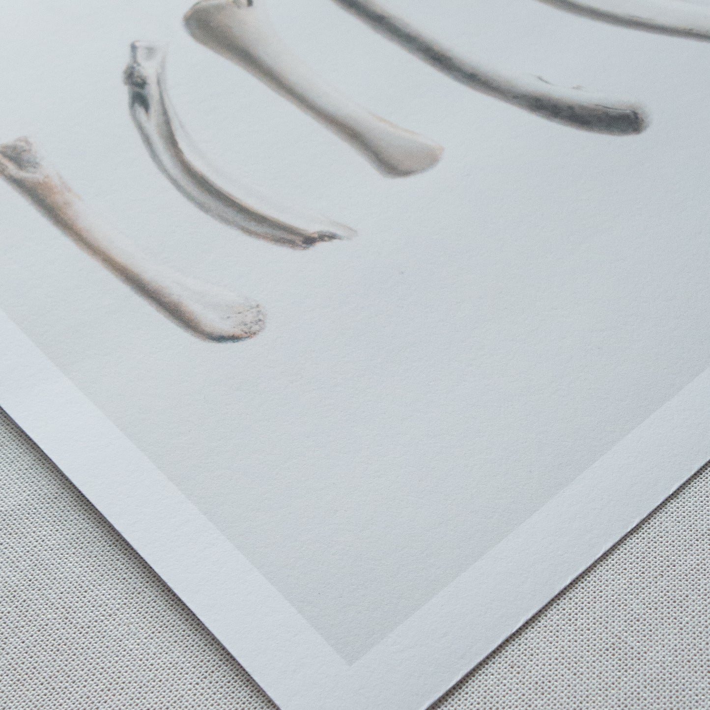 Bones No. 3 | Bones No. 4 Diptych