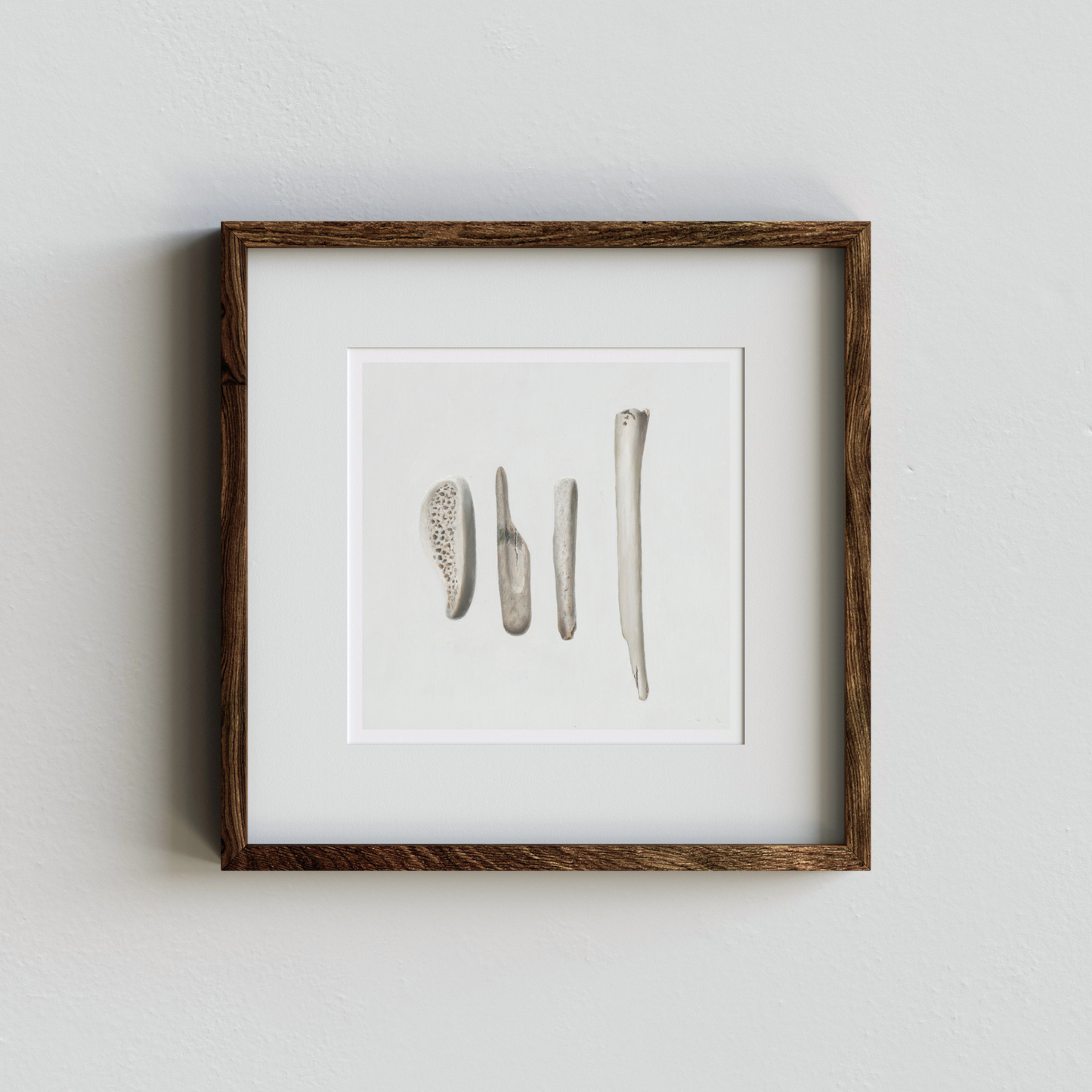 'Bones No. 4' Limited Edition Print