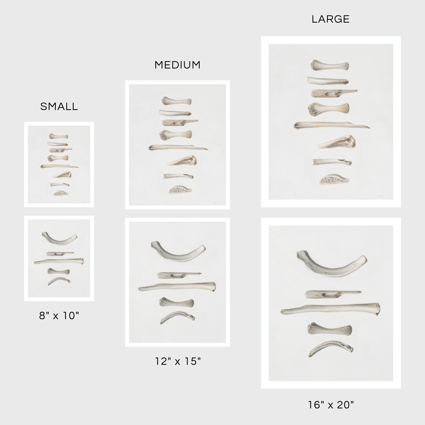 Bones No. 1 | Bones No. 2 Diptych