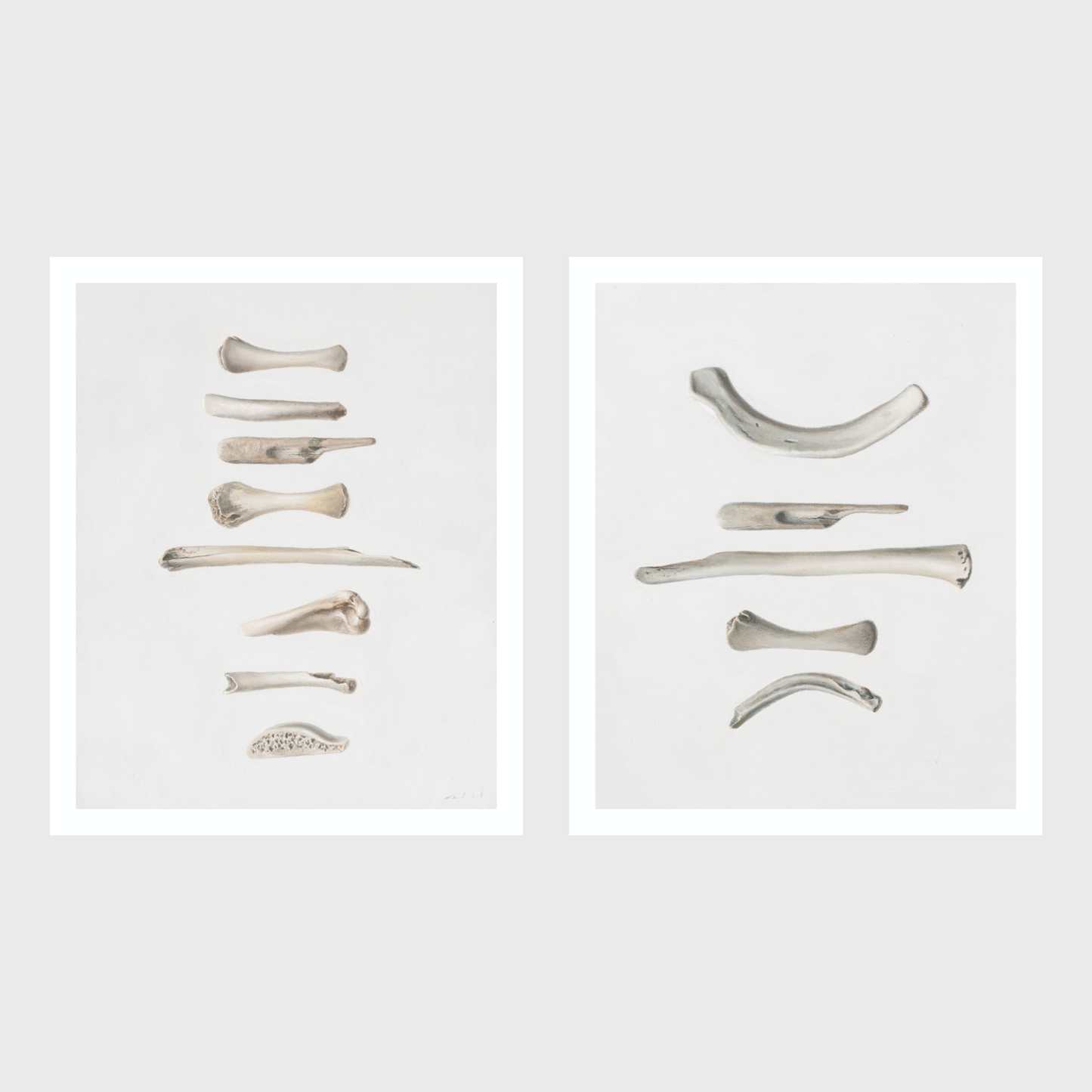 Bones No. 1 | Bones No. 2 Diptych