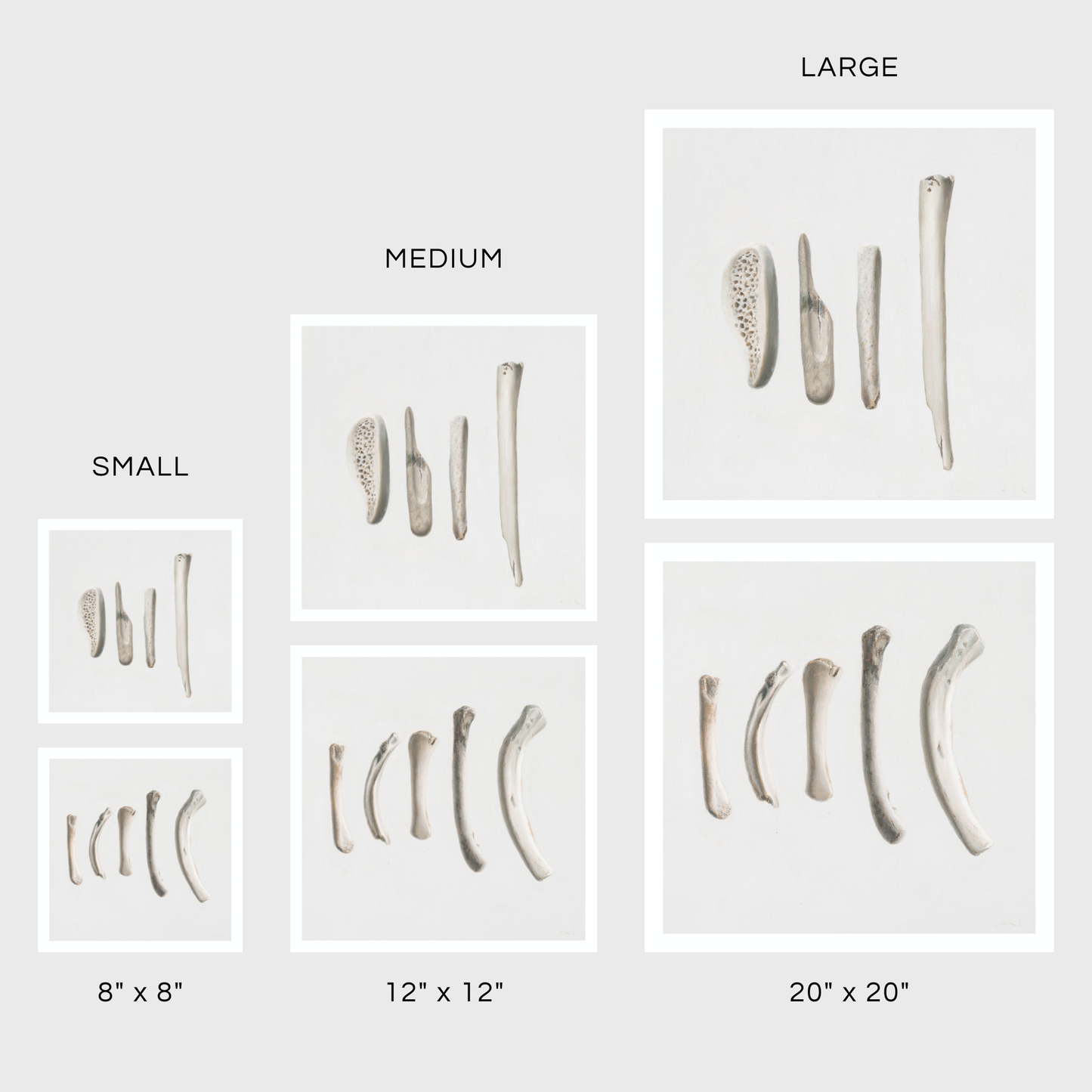 Bones No. 3 | Bones No. 4 Diptych