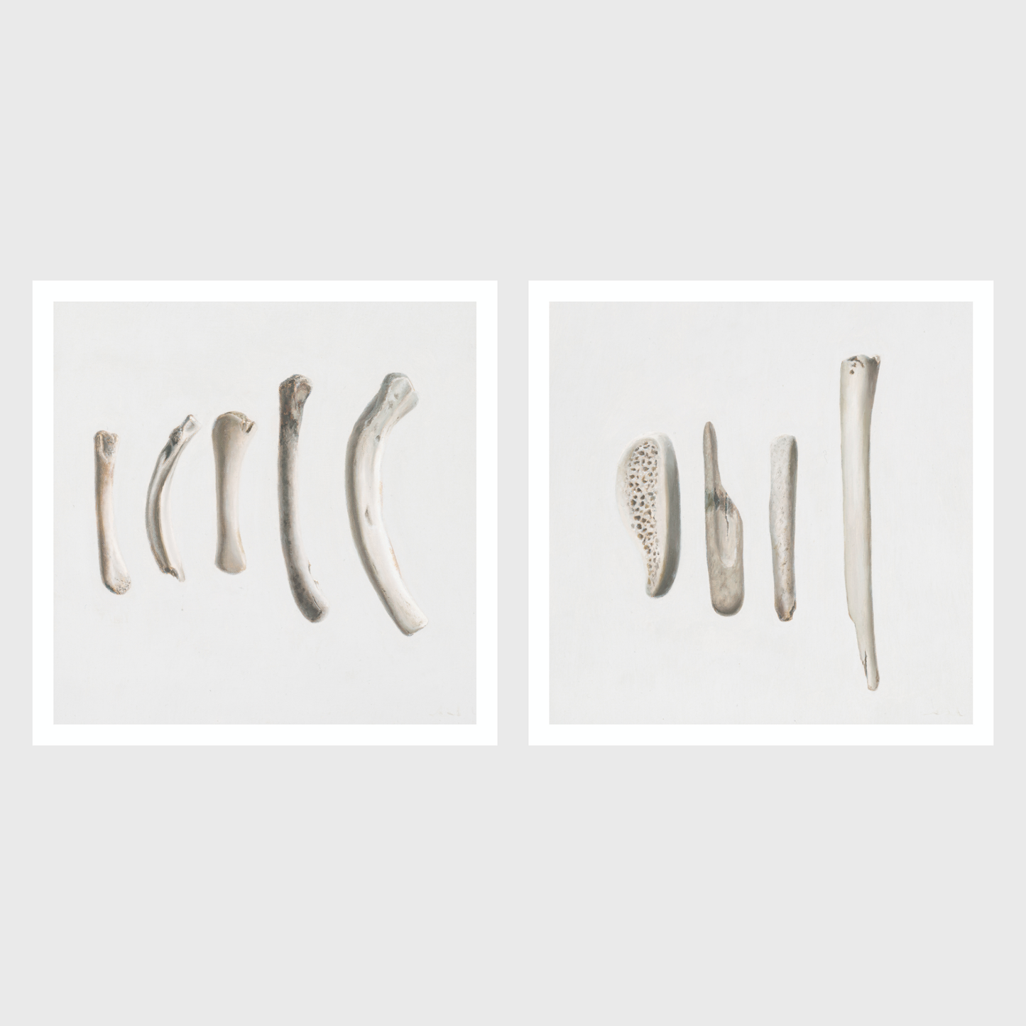 Bones No. 3 | Bones No. 4 Diptych
