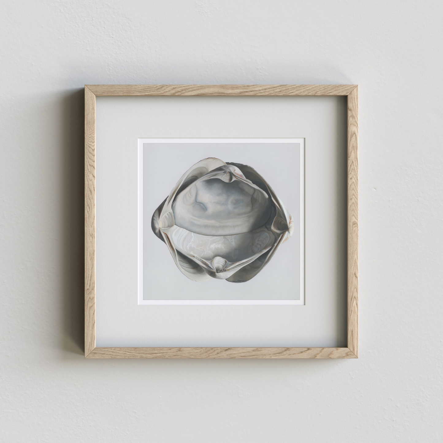 'Cradled Surf Clams' Limited Edition Print