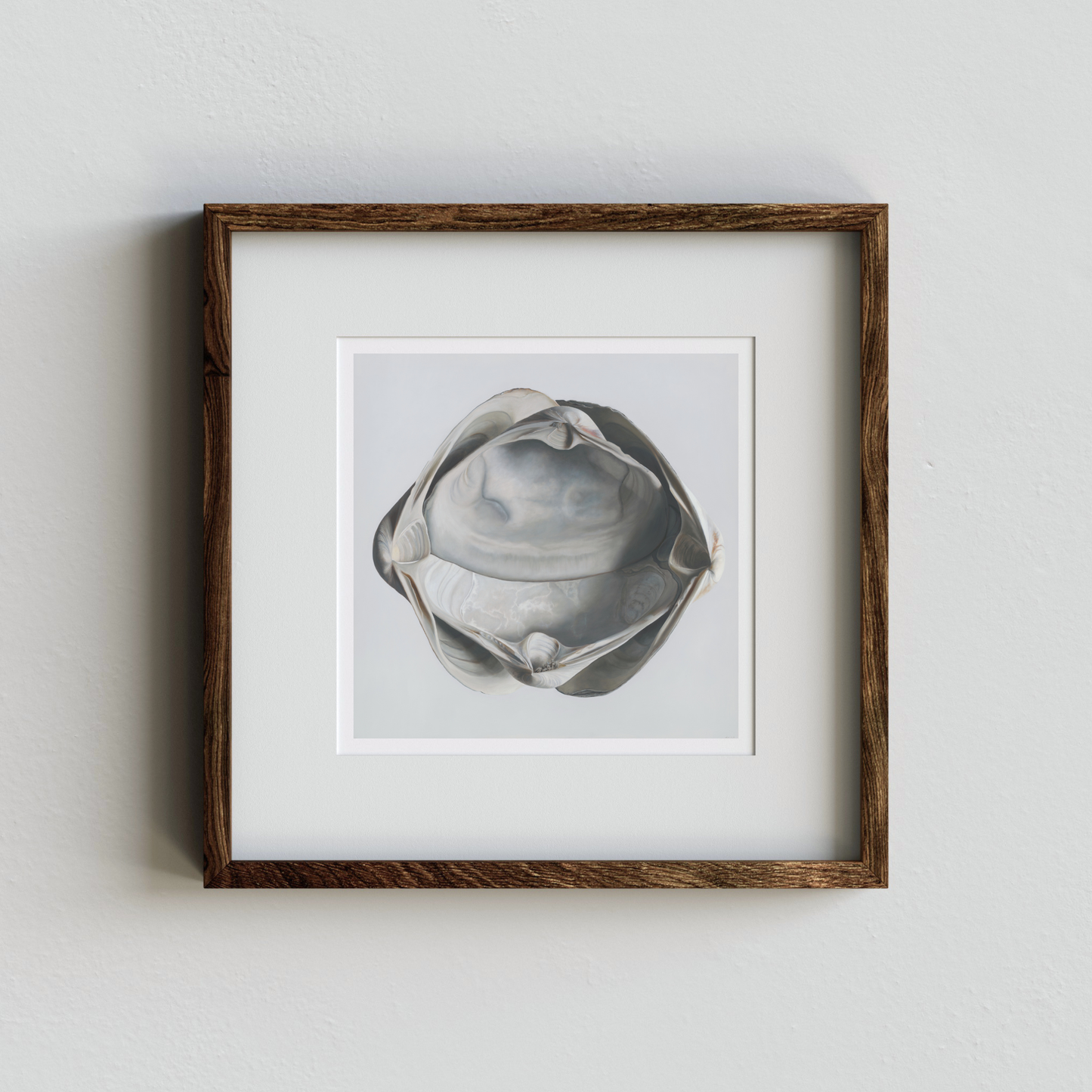 Nested Surf Clams No. 6 | Sea Glass No. 6 | Cradled Surf Clams Triptych