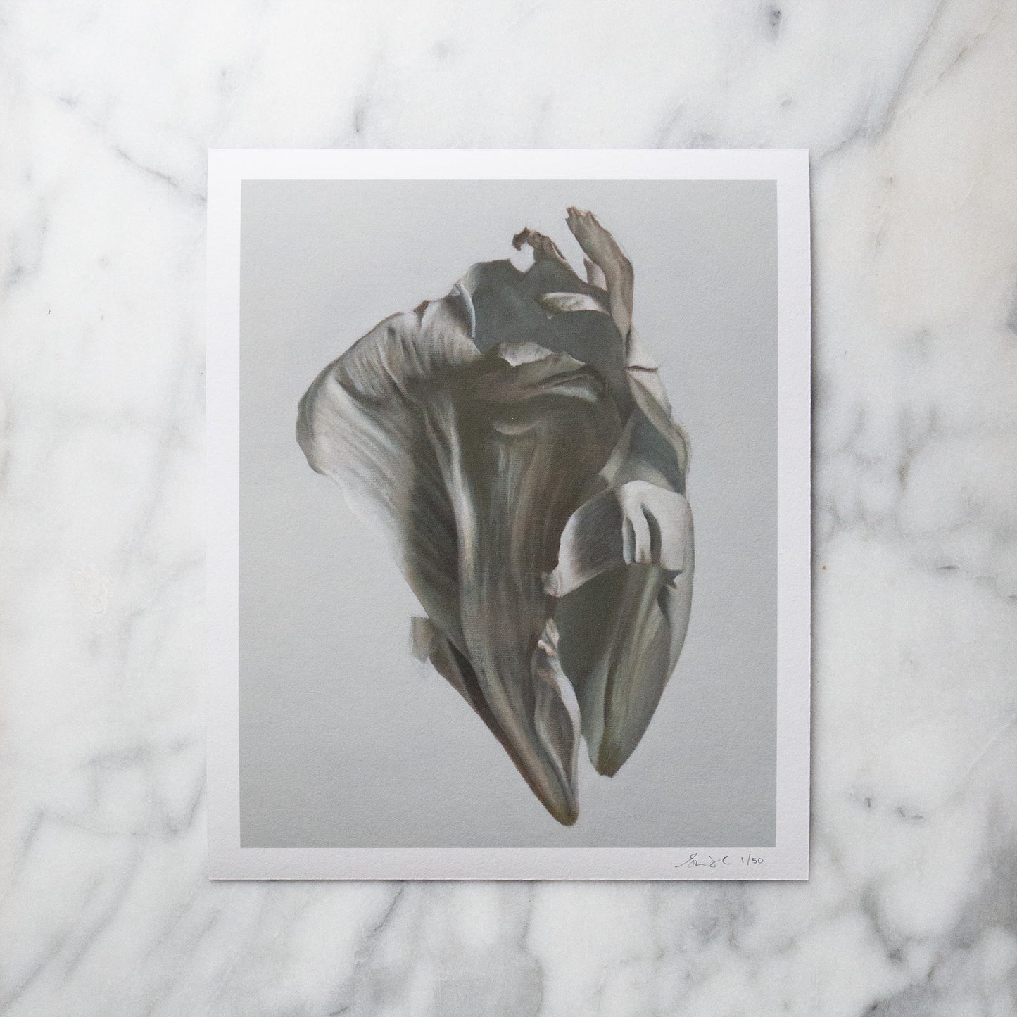 'Peony Petal No. 7' Limited Edition Print