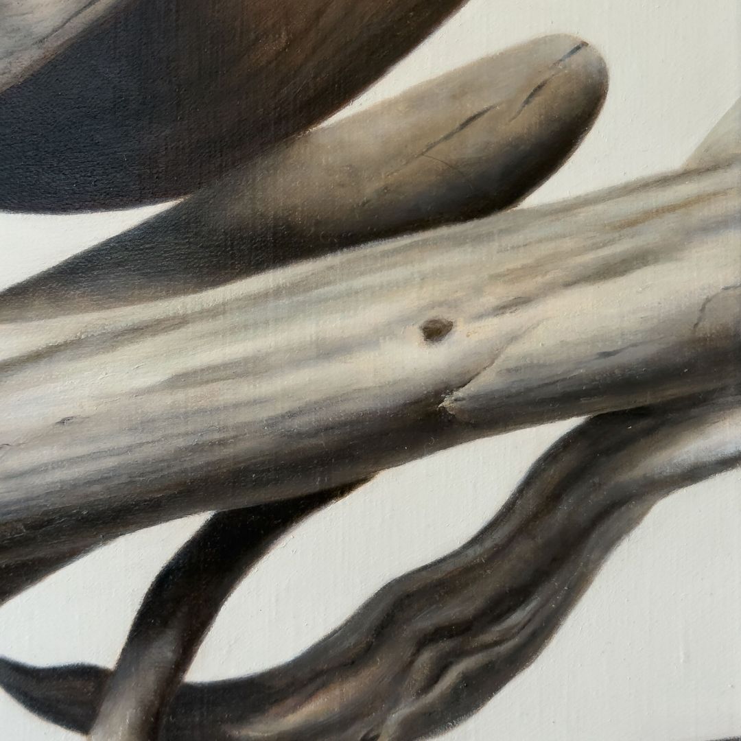 Driftwood No. 1