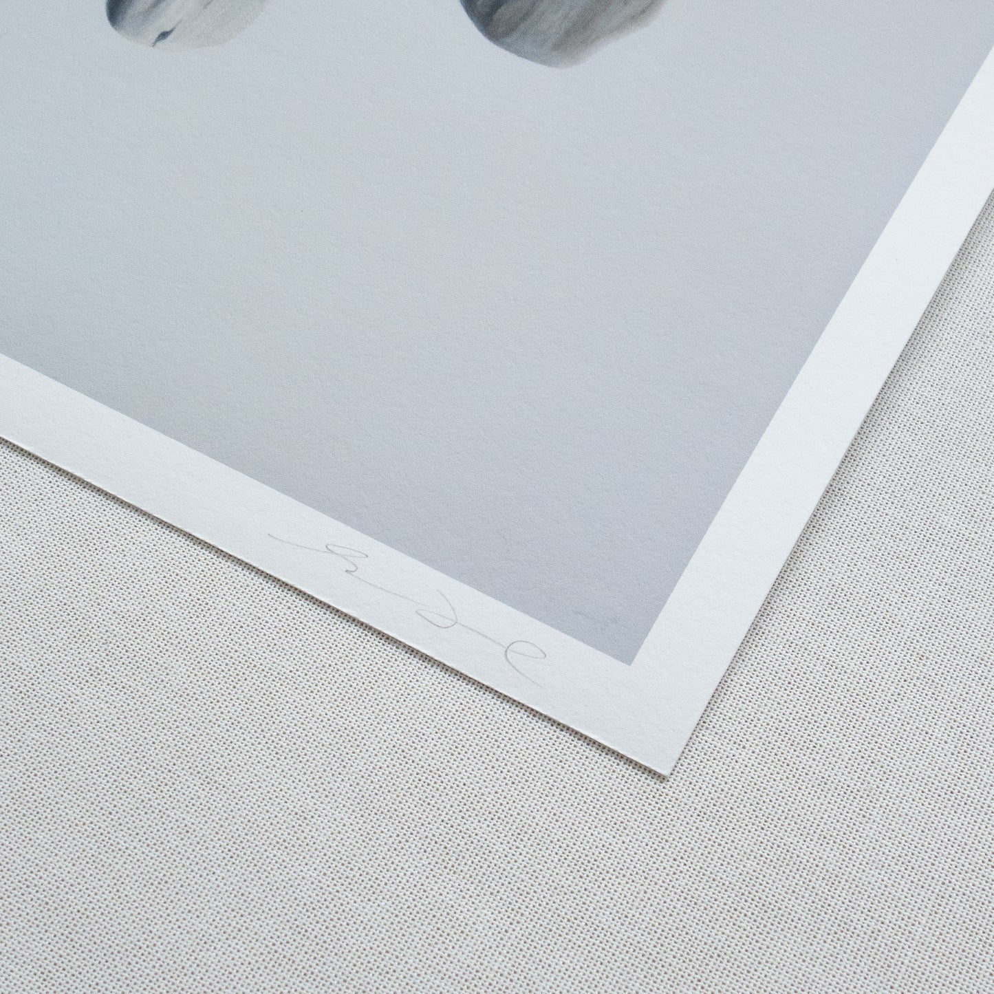 Nested Surf Clams + Stone No. 3 | Driftwood No. 1 Diptych
