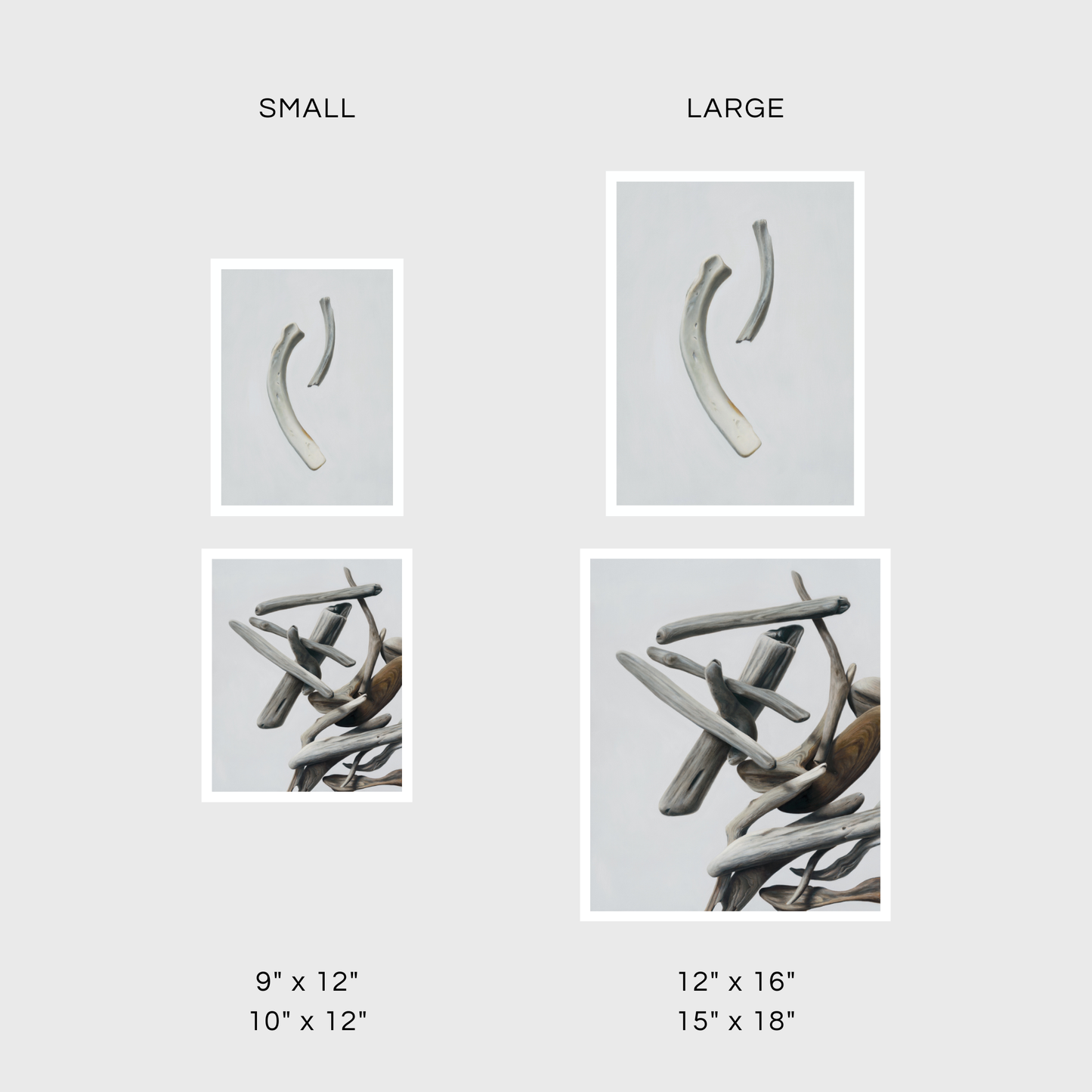 Driftwood No. 1 | Bone Duo Diptych