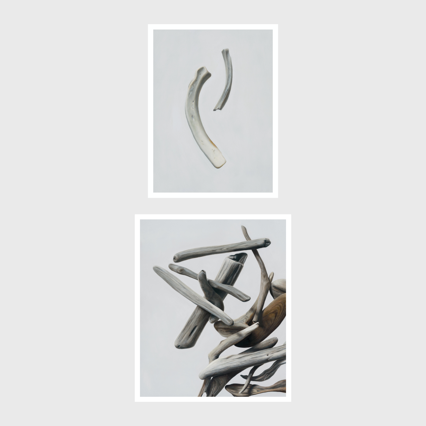 Driftwood No. 1 | Bone Duo Diptych