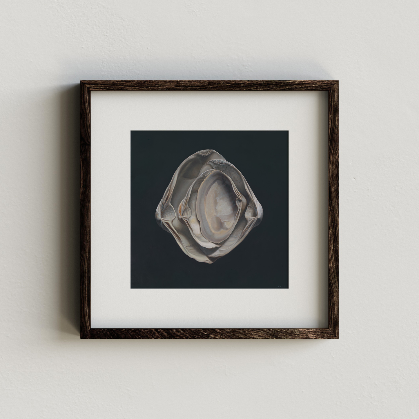 'Nested Surf Clams No. 3' Limited Edition Print