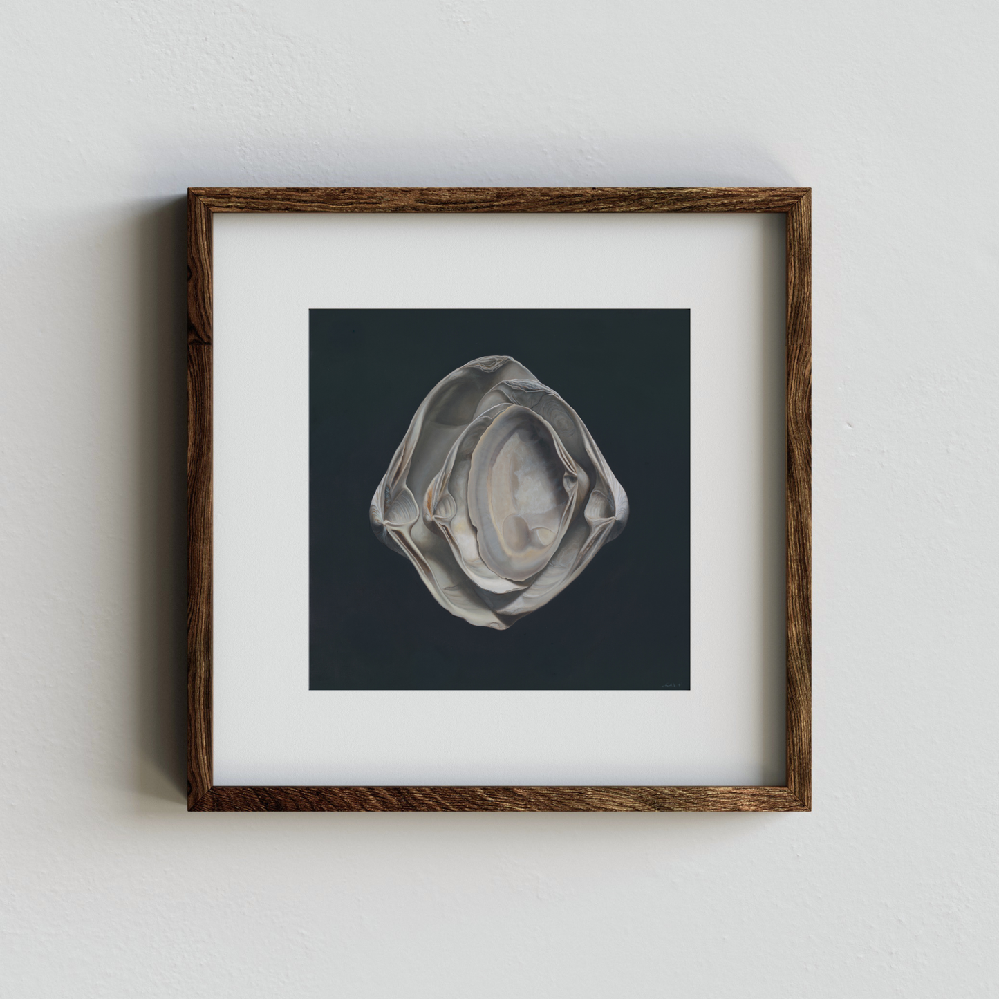 'Nested Surf Clams No. 3' Limited Edition Print
