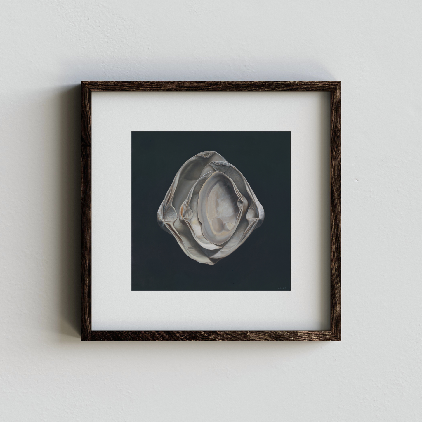 'Nested Surf Clams No. 3' Limited Edition Print
