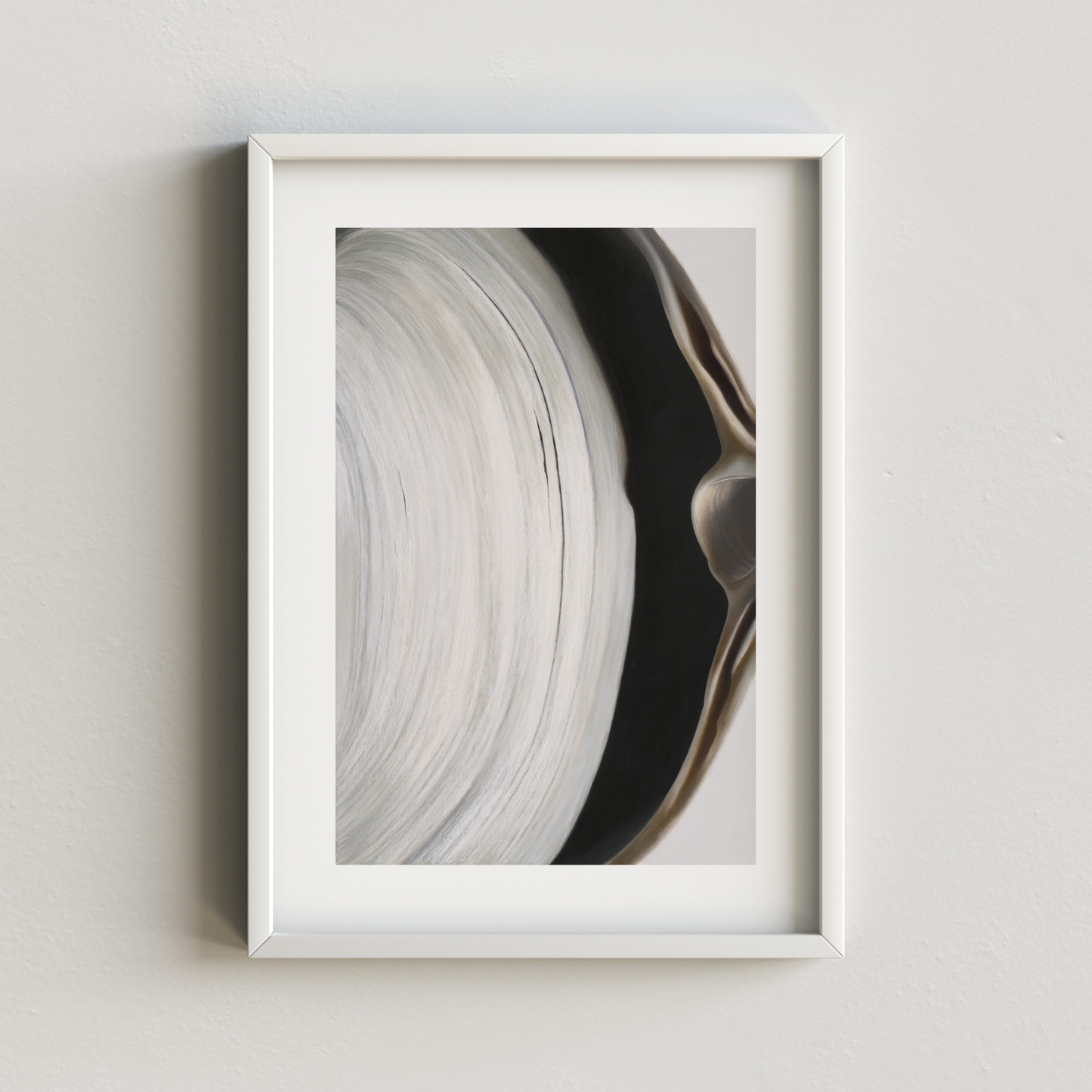 'Surf Clam Pair No. 2' Limited Edition Print