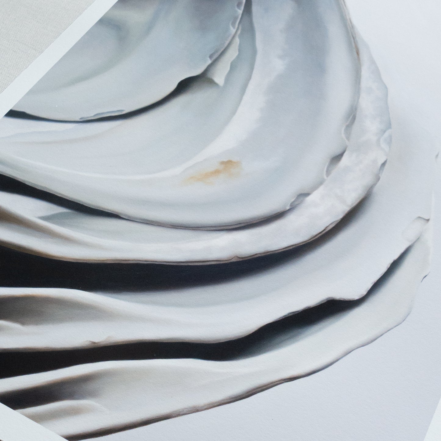 Nested Surf Clams No. 6 | Sea Glass No. 6 | Cradled Surf Clams Triptych