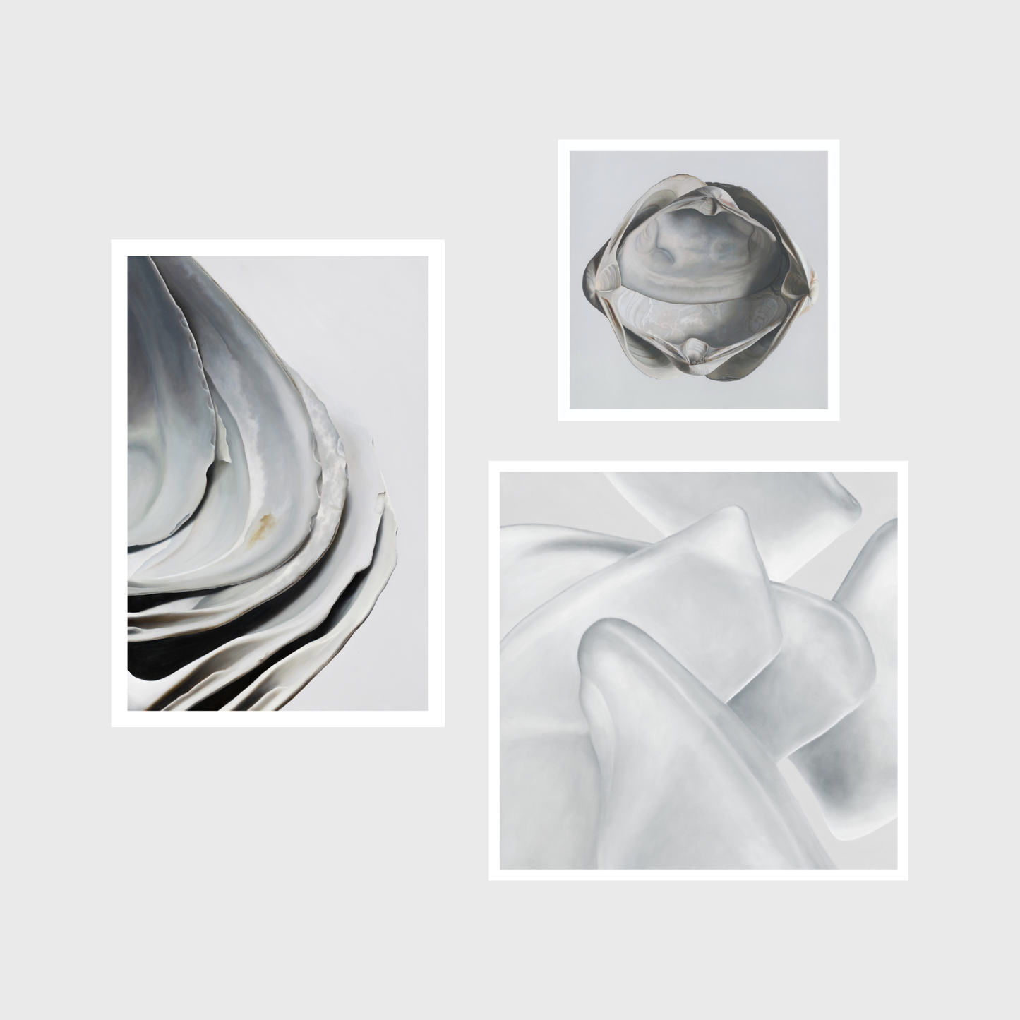 Nested Surf Clams No. 6 | Sea Glass No. 6 | Cradled Surf Clams Triptych