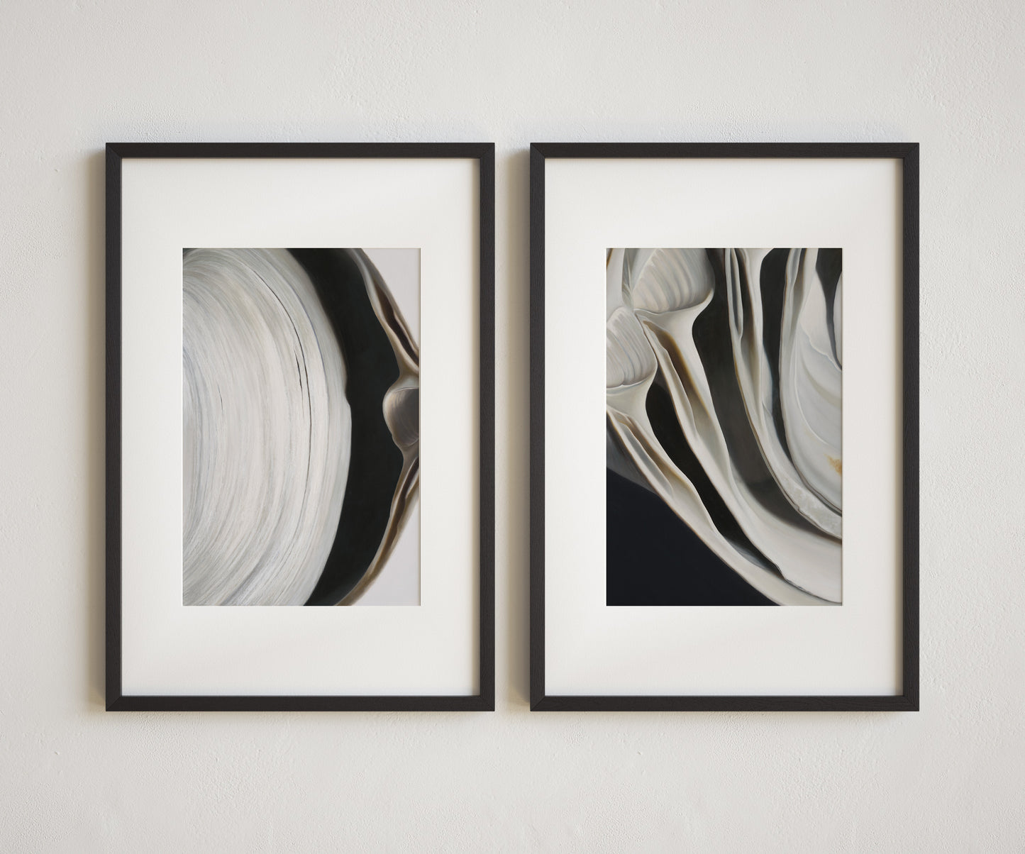 Surf Clam Pair No. 2 | Nested Surf Clams No. 7 Diptych